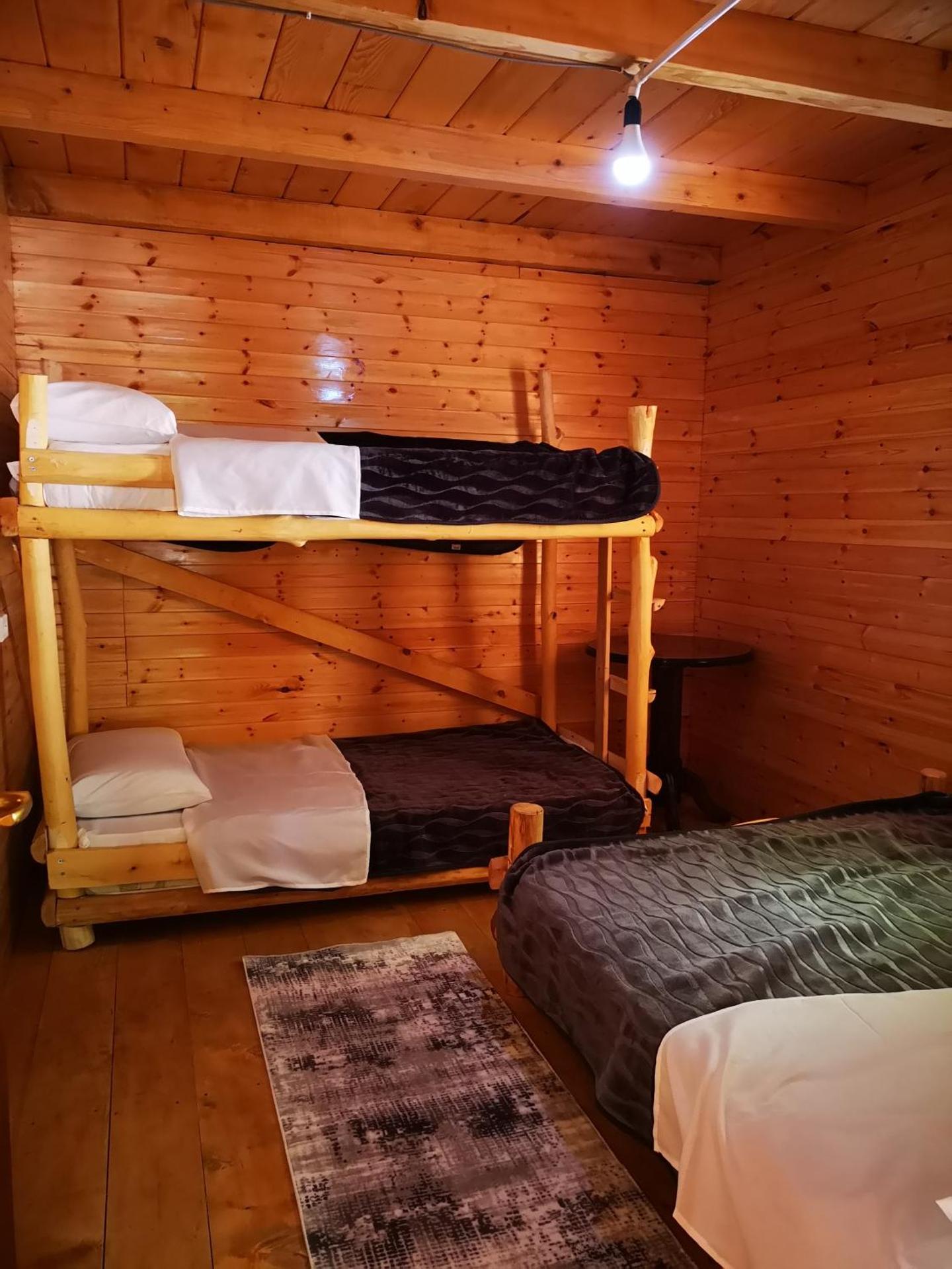 Riverside Komani Lake - Photo 10