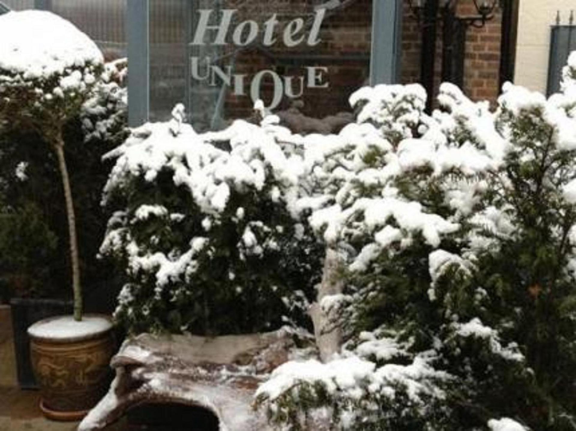 Hotel Unique - Photo 7