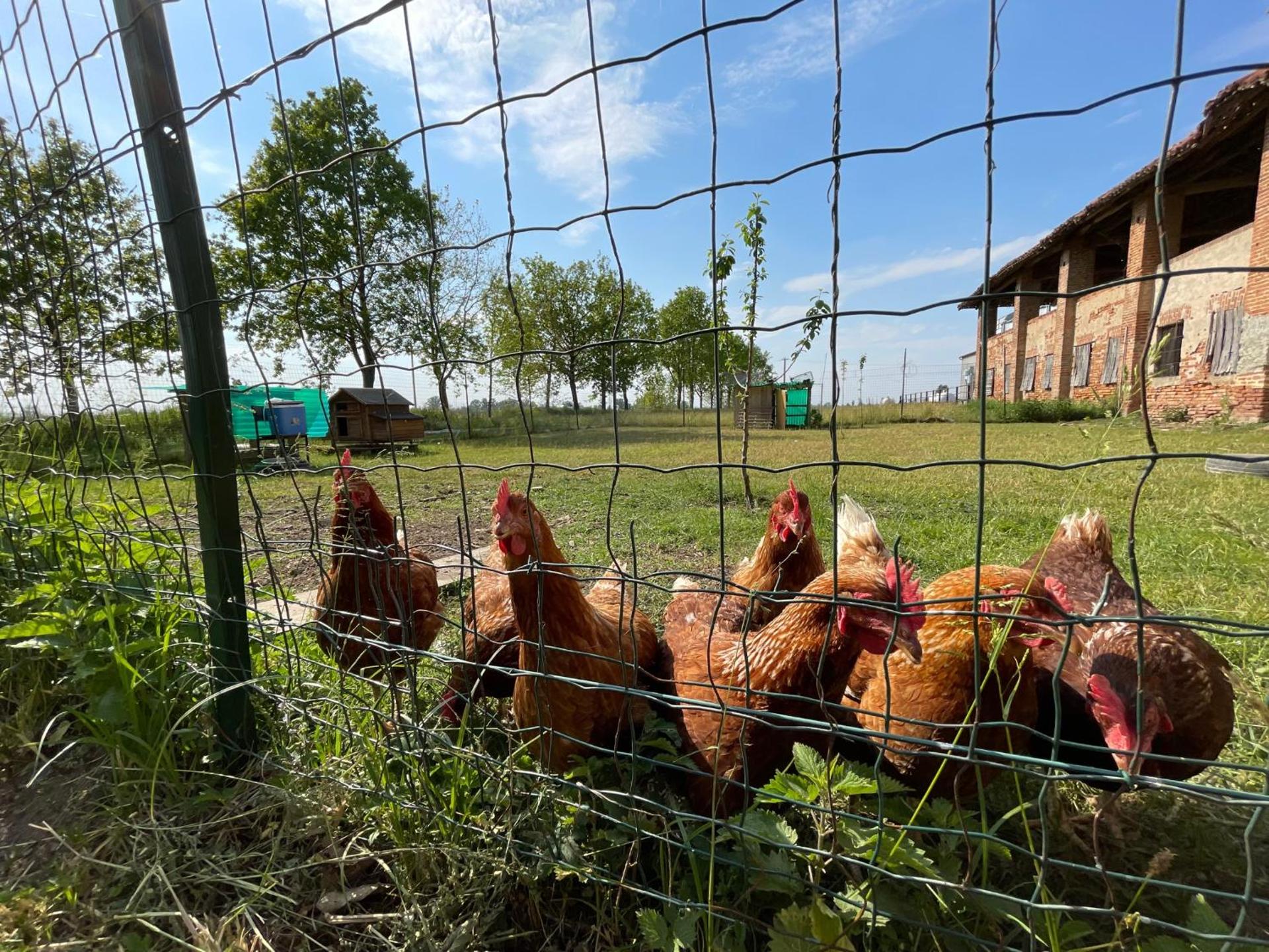 Agriturismo Cascina Mora - Photo 32