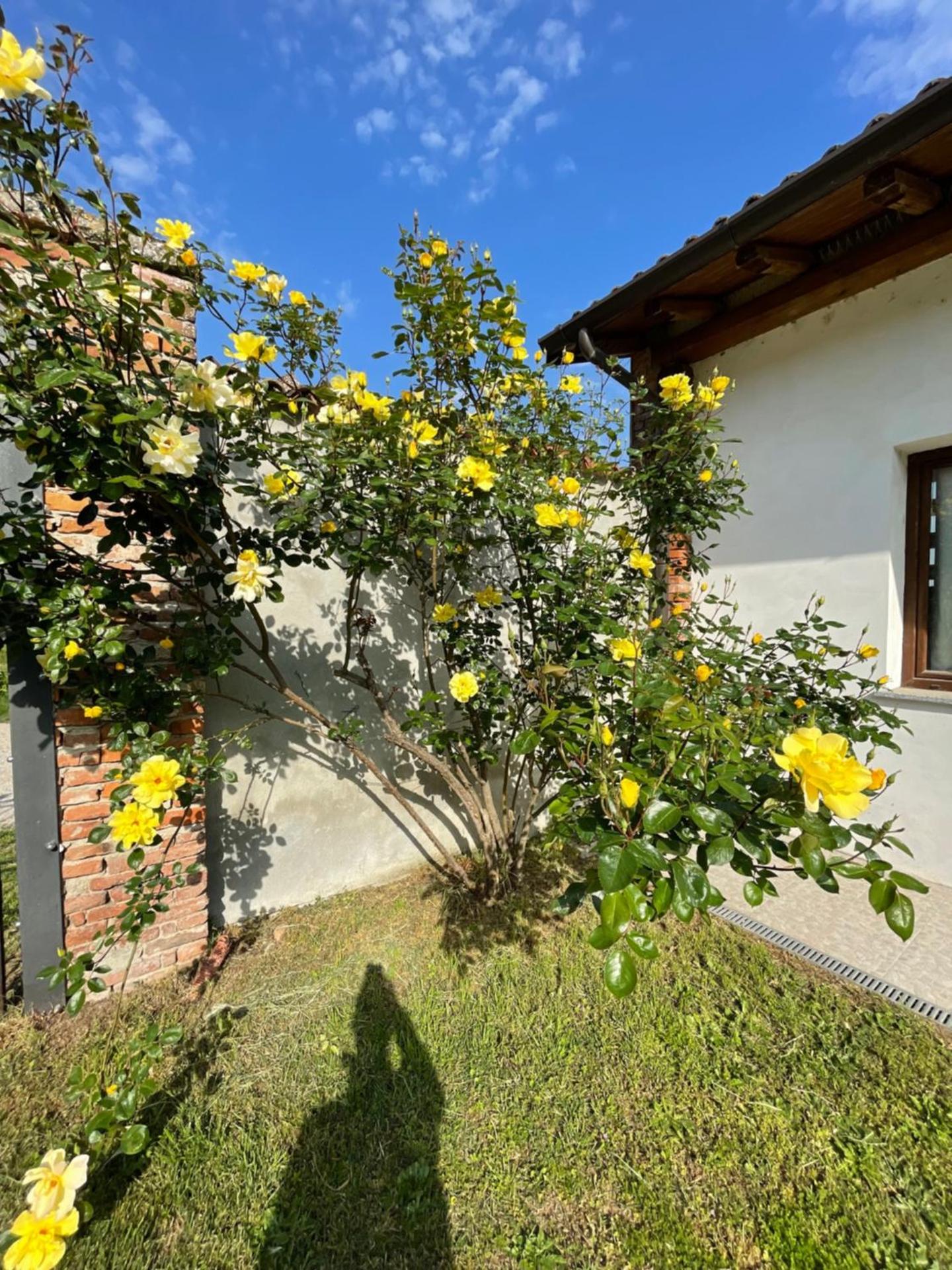 Agriturismo Cascina Mora - Photo 20