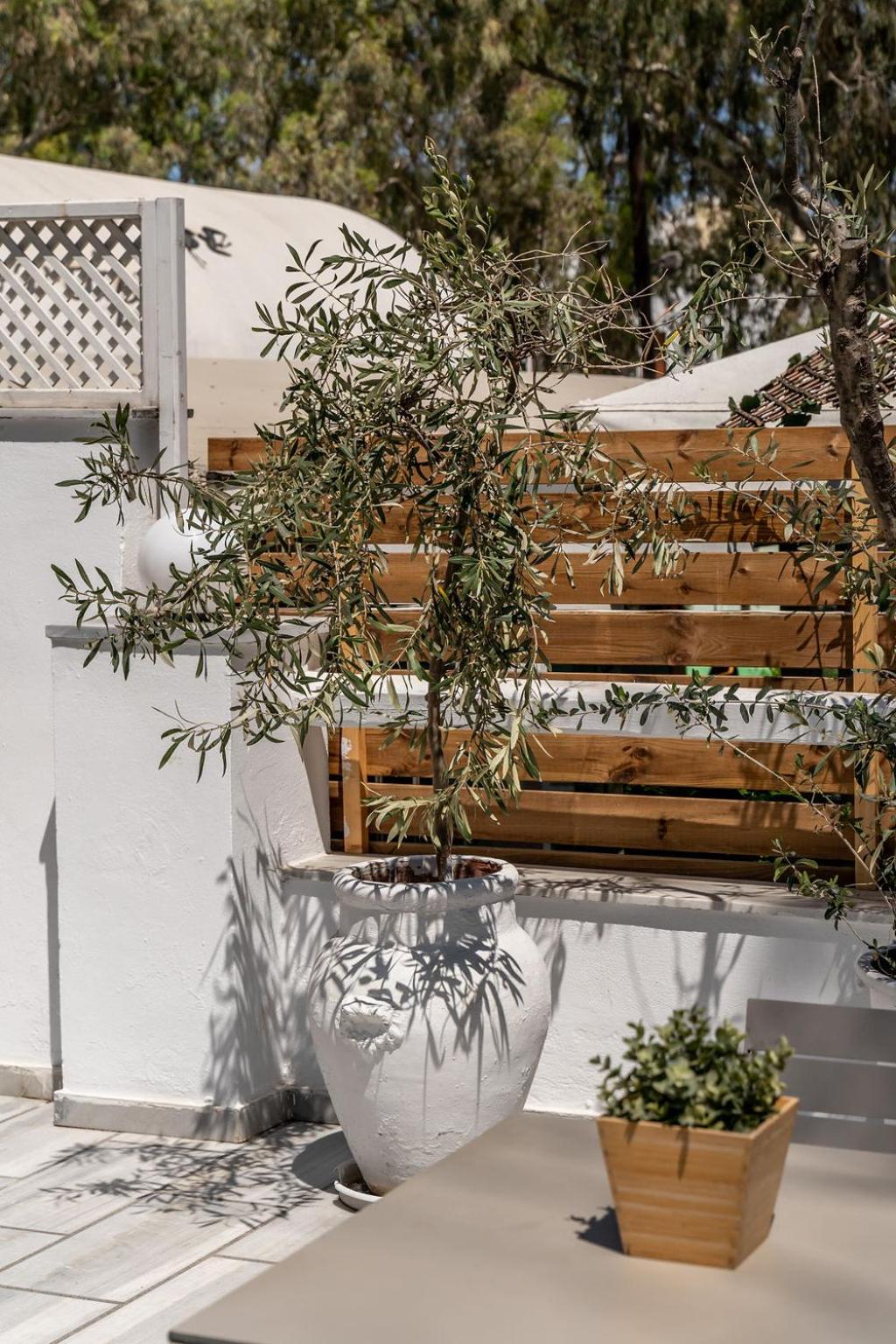 Hotel Eucalyptus - Photo 26