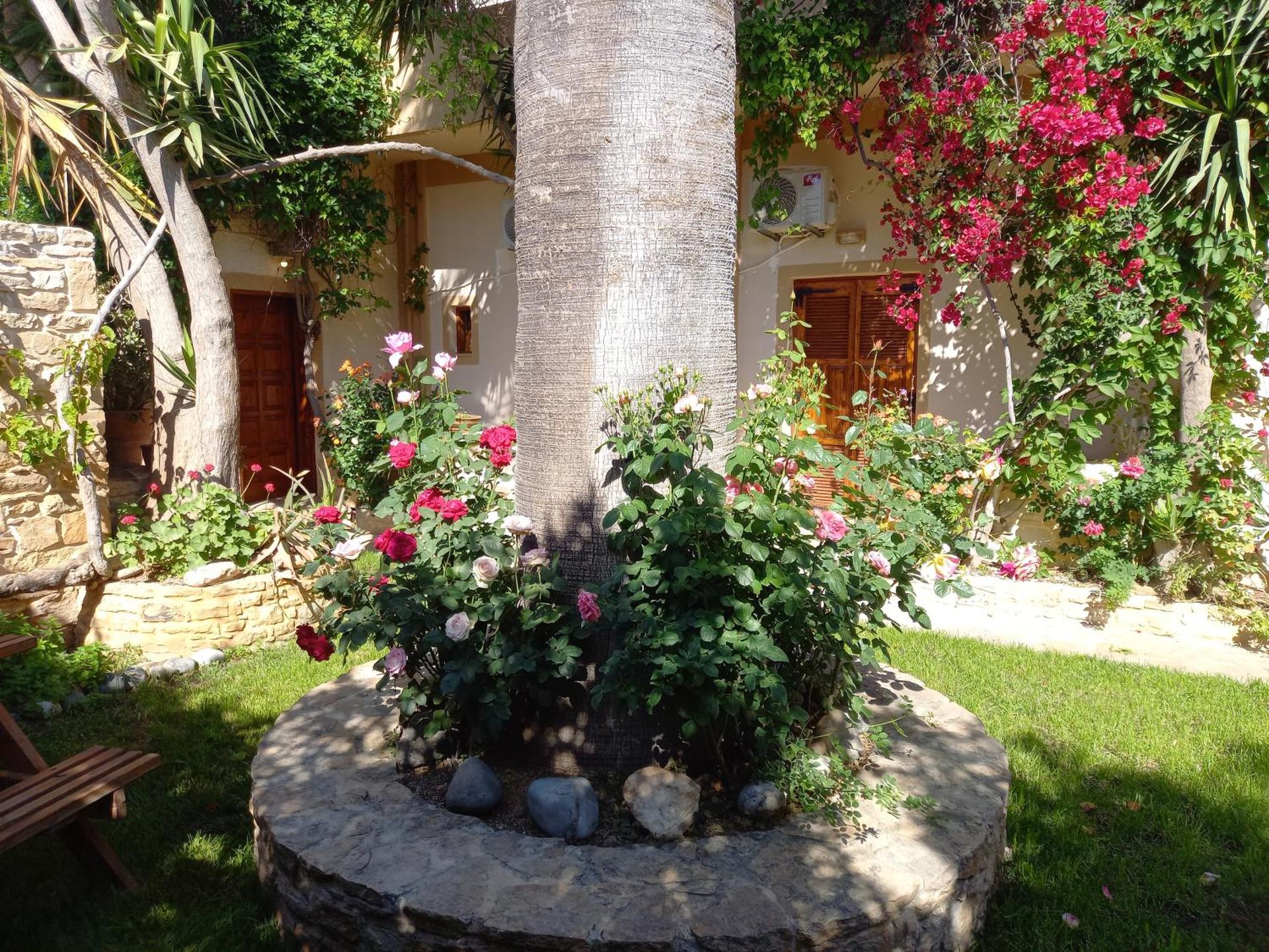 Pension Aretoussa - Photo 12