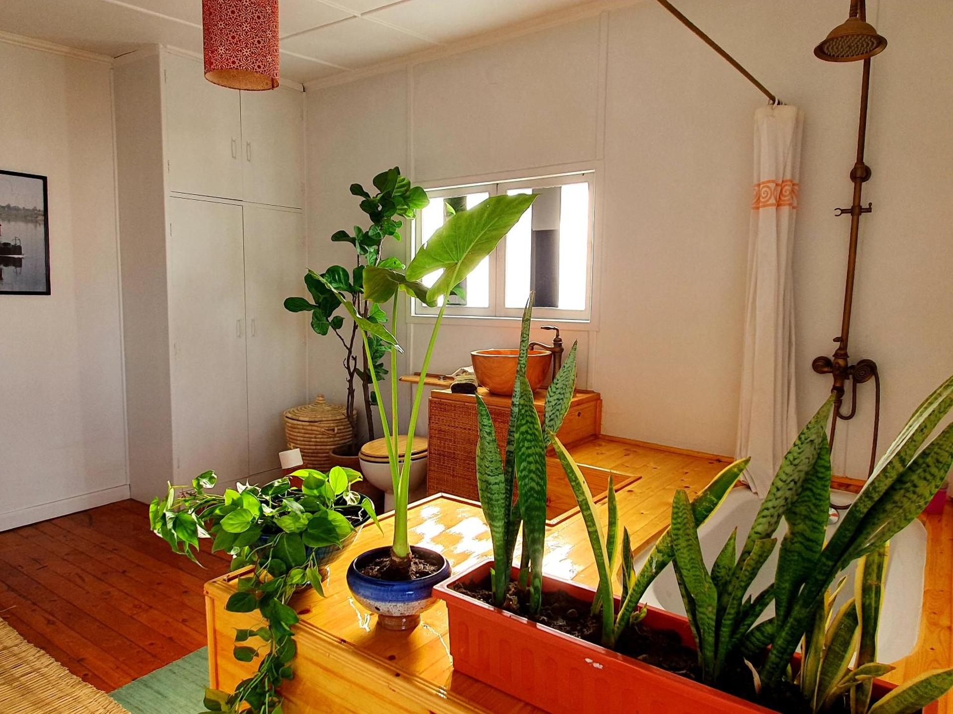 Houseboat65 - Historic home on the Nile - Central Cairo - Photo 35