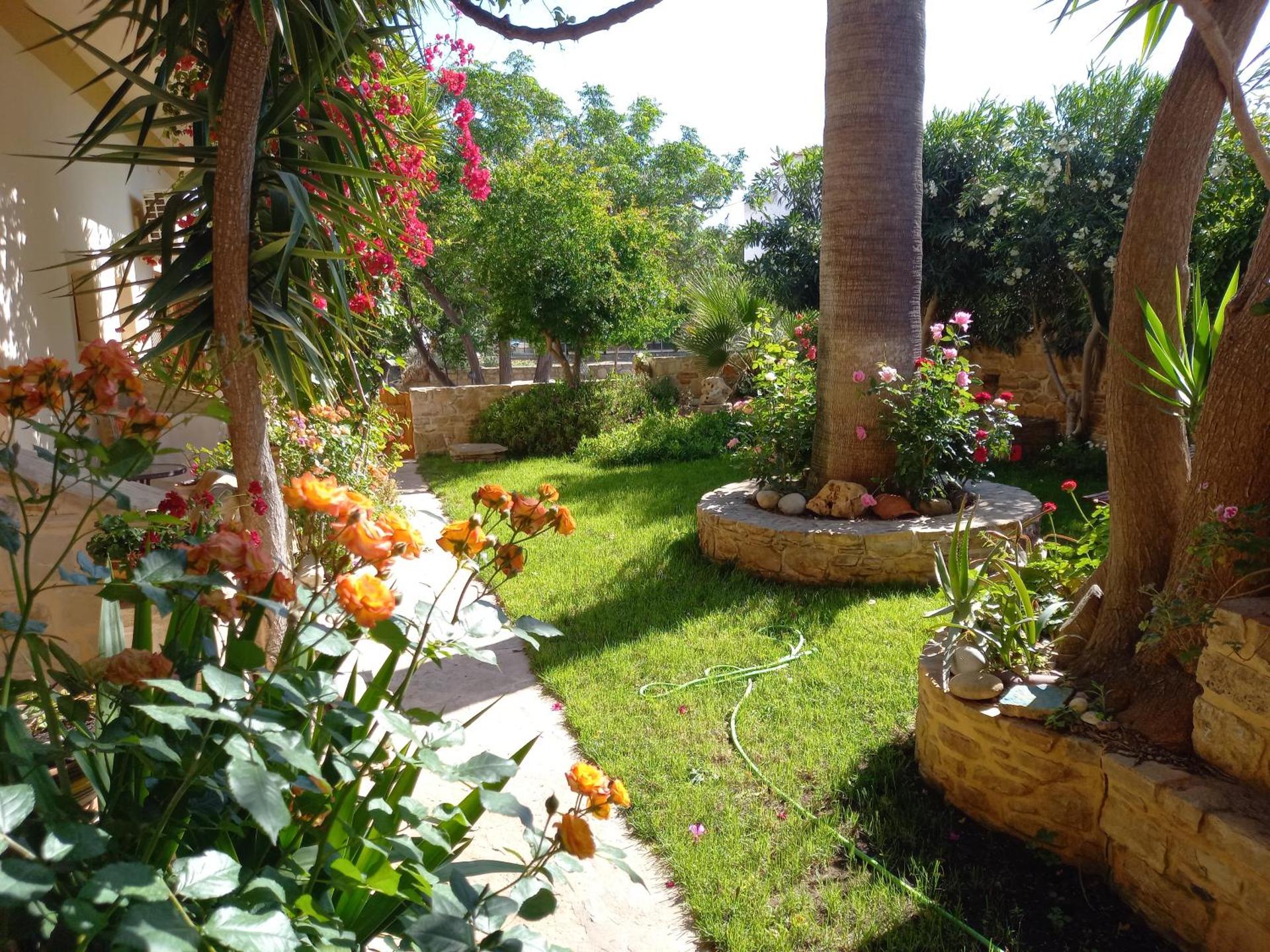 Pension Aretoussa - Photo 28