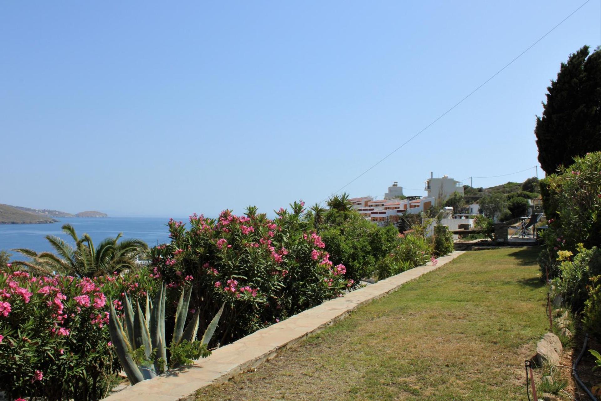 Blue Dolphin - Photo 273