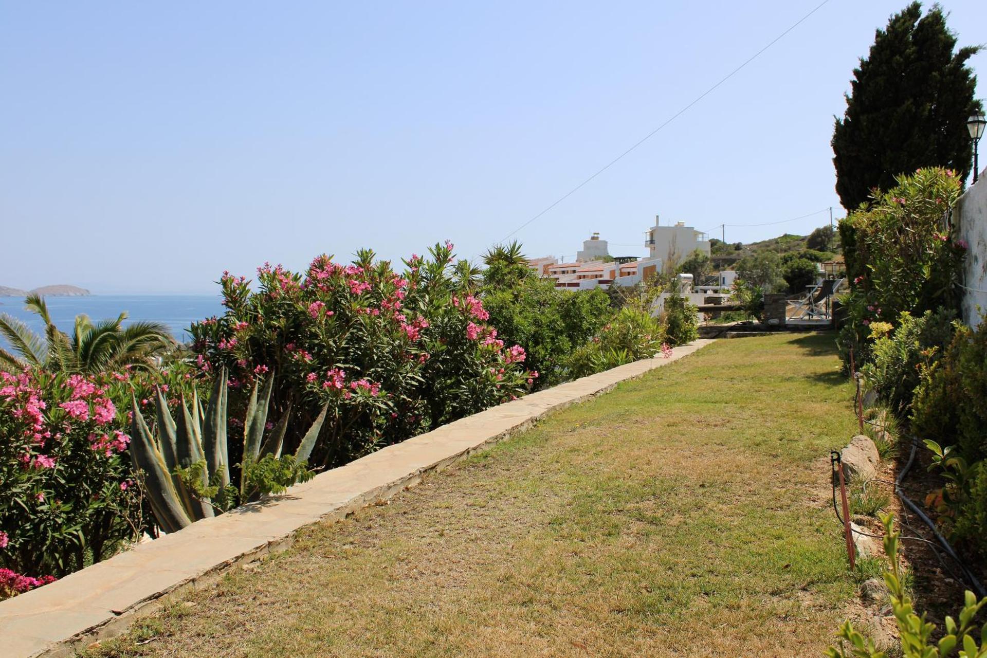 Blue Dolphin - Photo 272