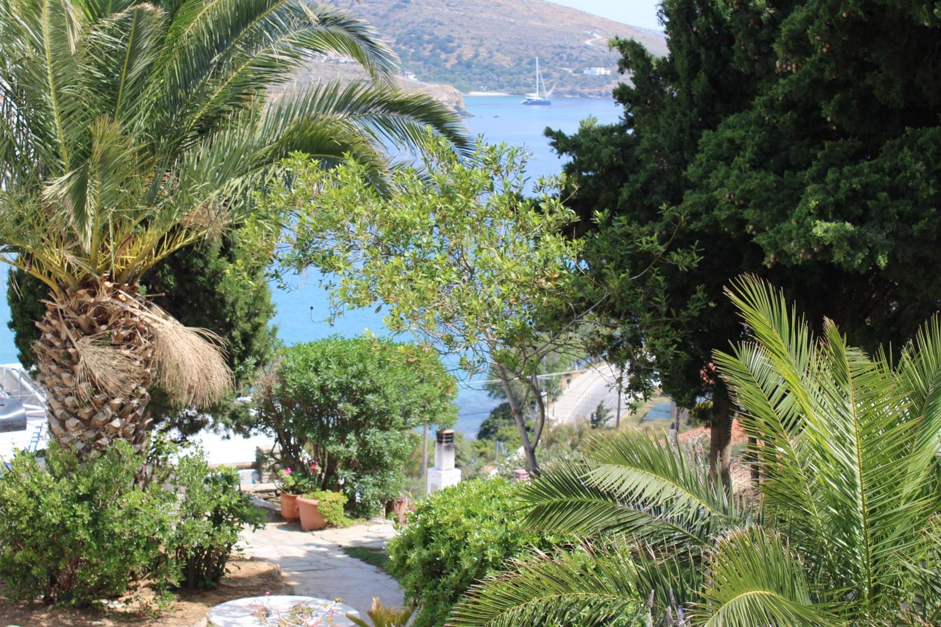 Blue Dolphin - Photo 271