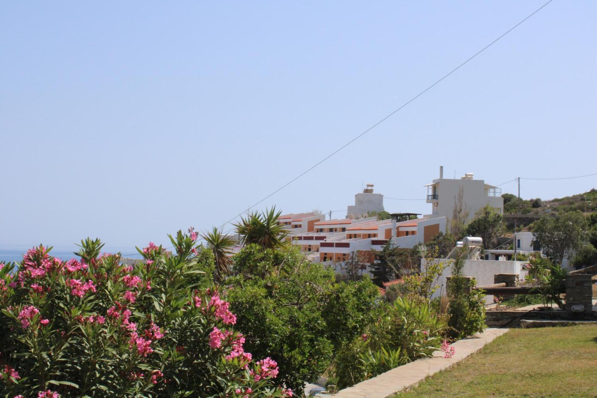 Blue Dolphin - Photo 274