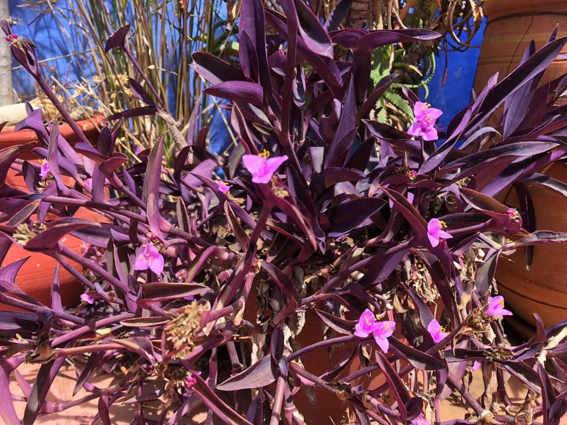 Dar Onsar - Photo 83