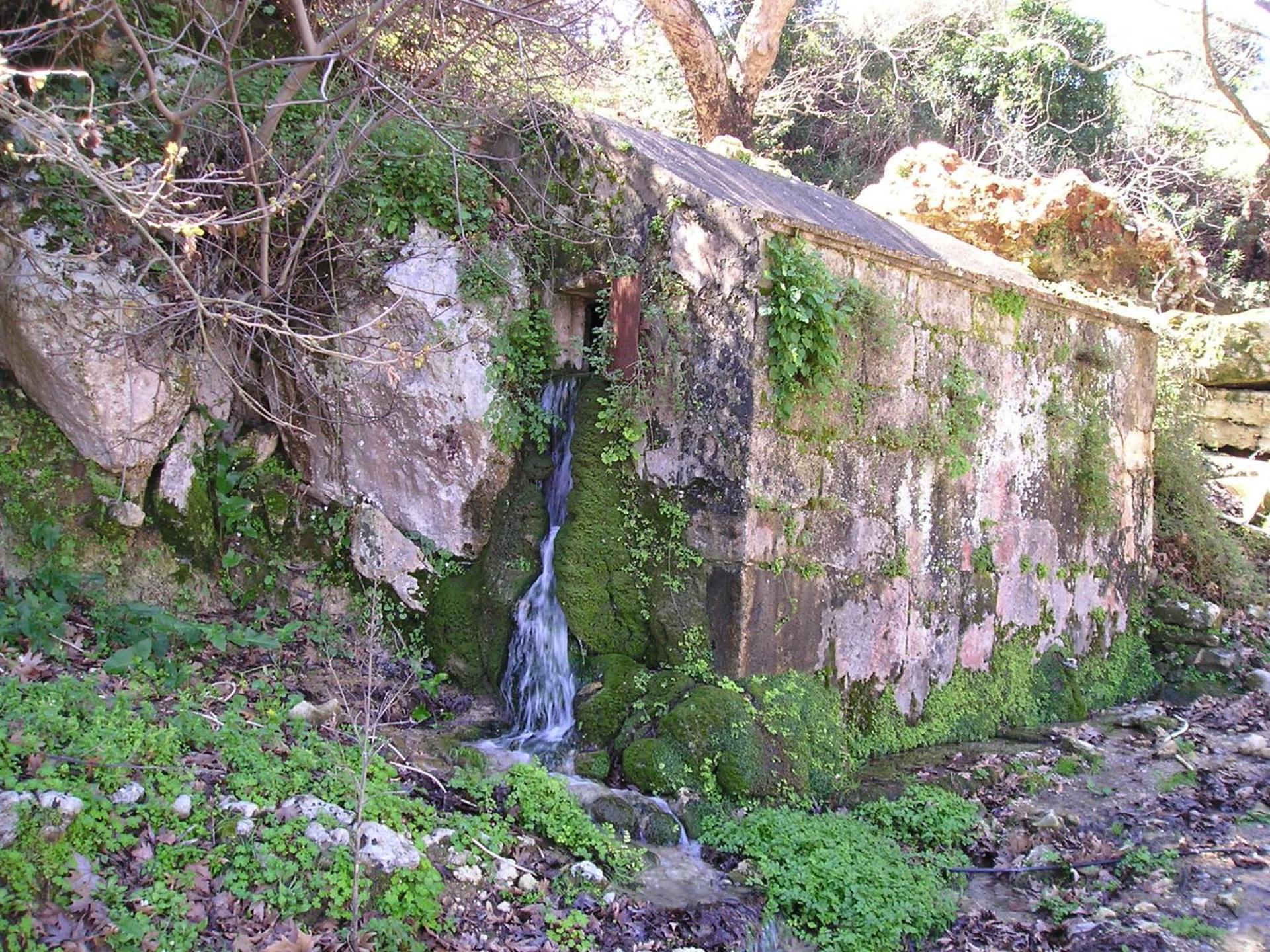 Villa Aloni - Photo 7