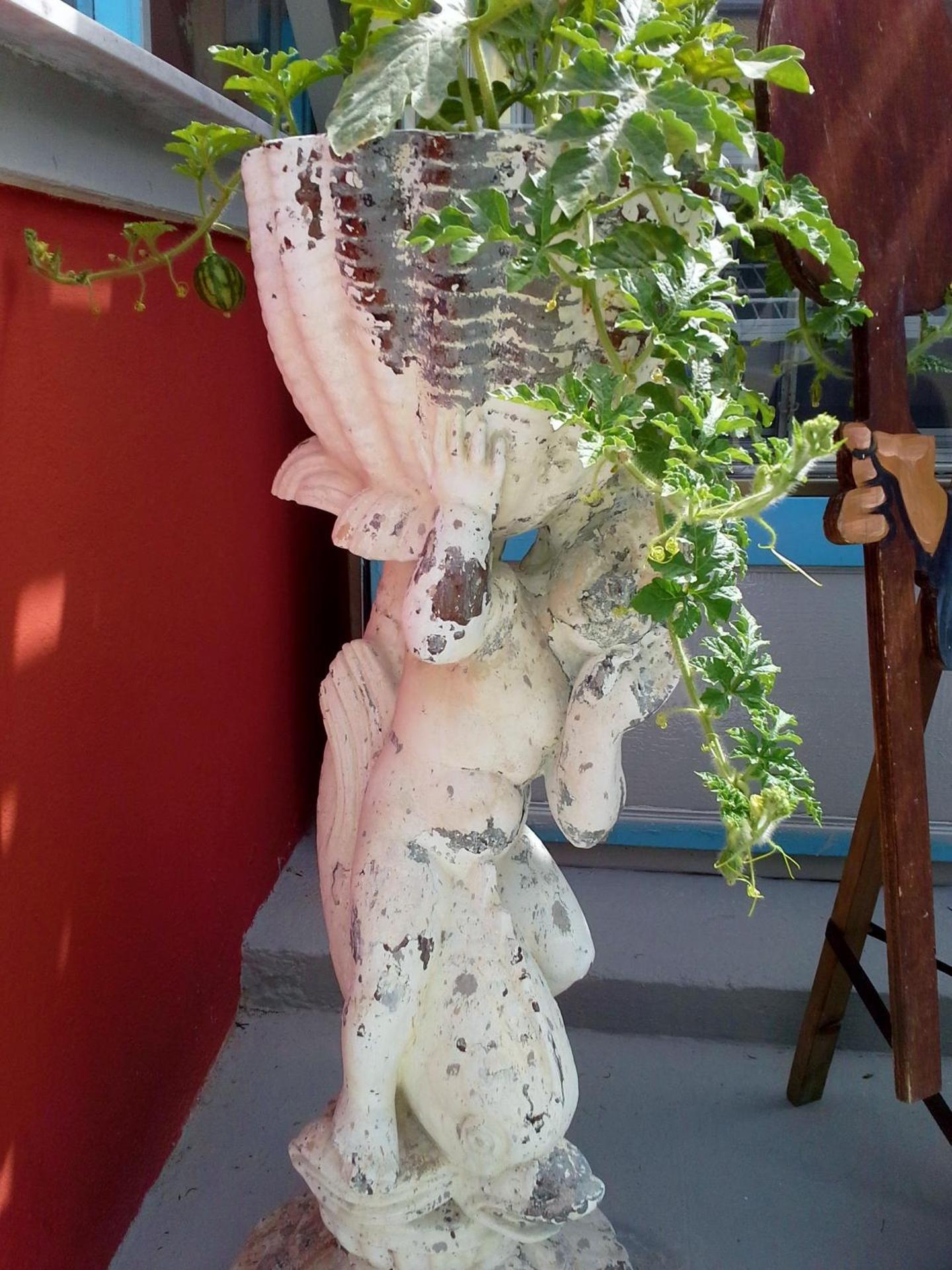 Villa Anneta - Photo 8