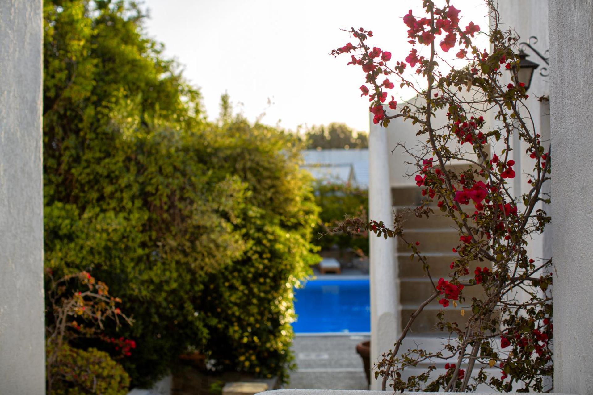 Andromeda Residence - Photo 21