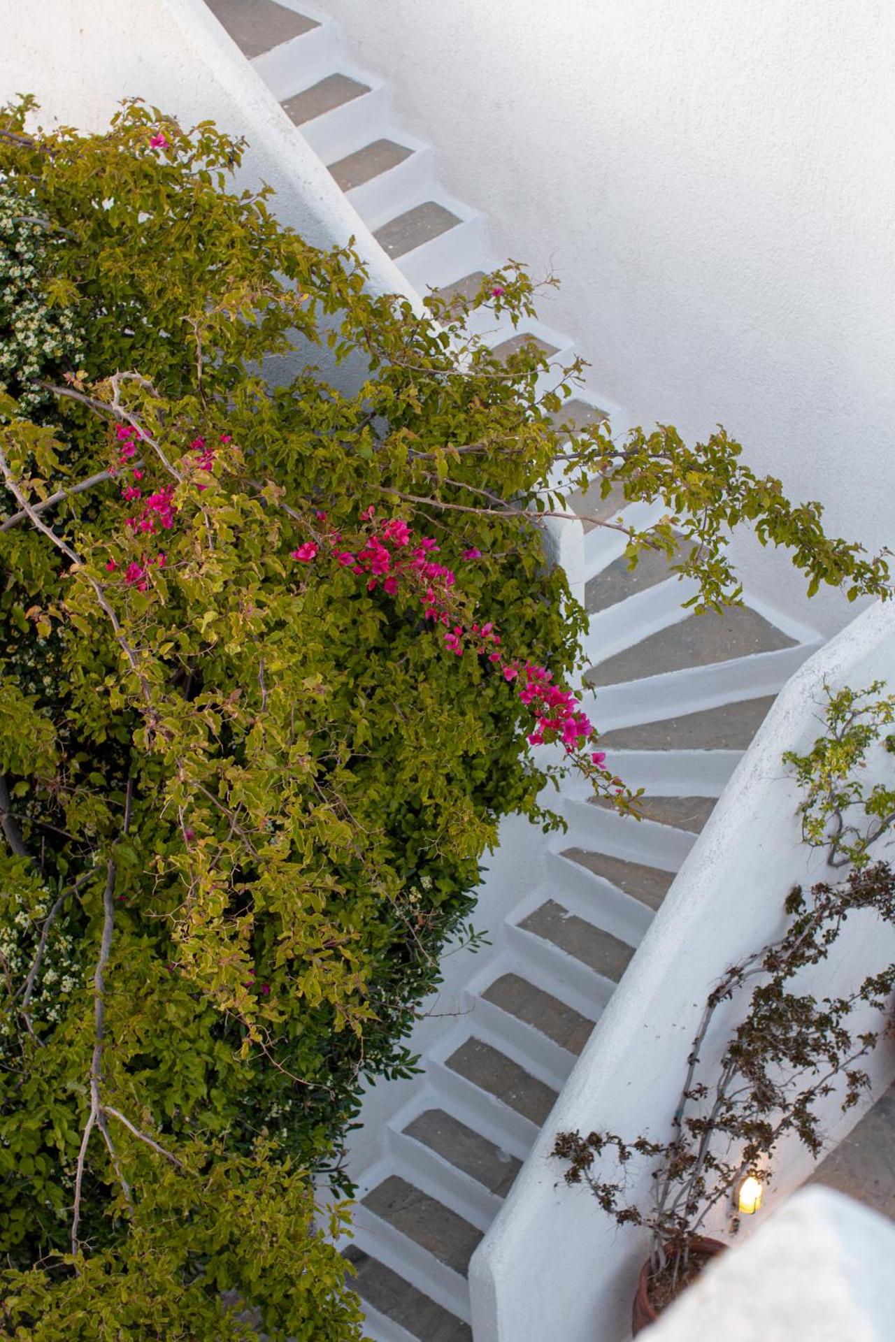 Andromeda Residence - Photo 30