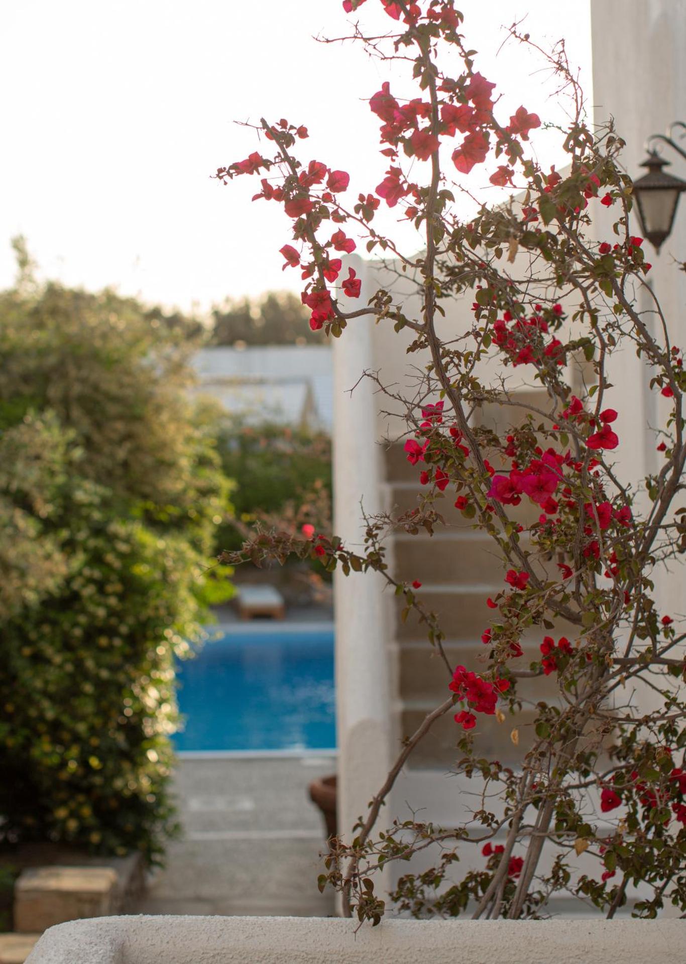 Andromeda Residence - Photo 35