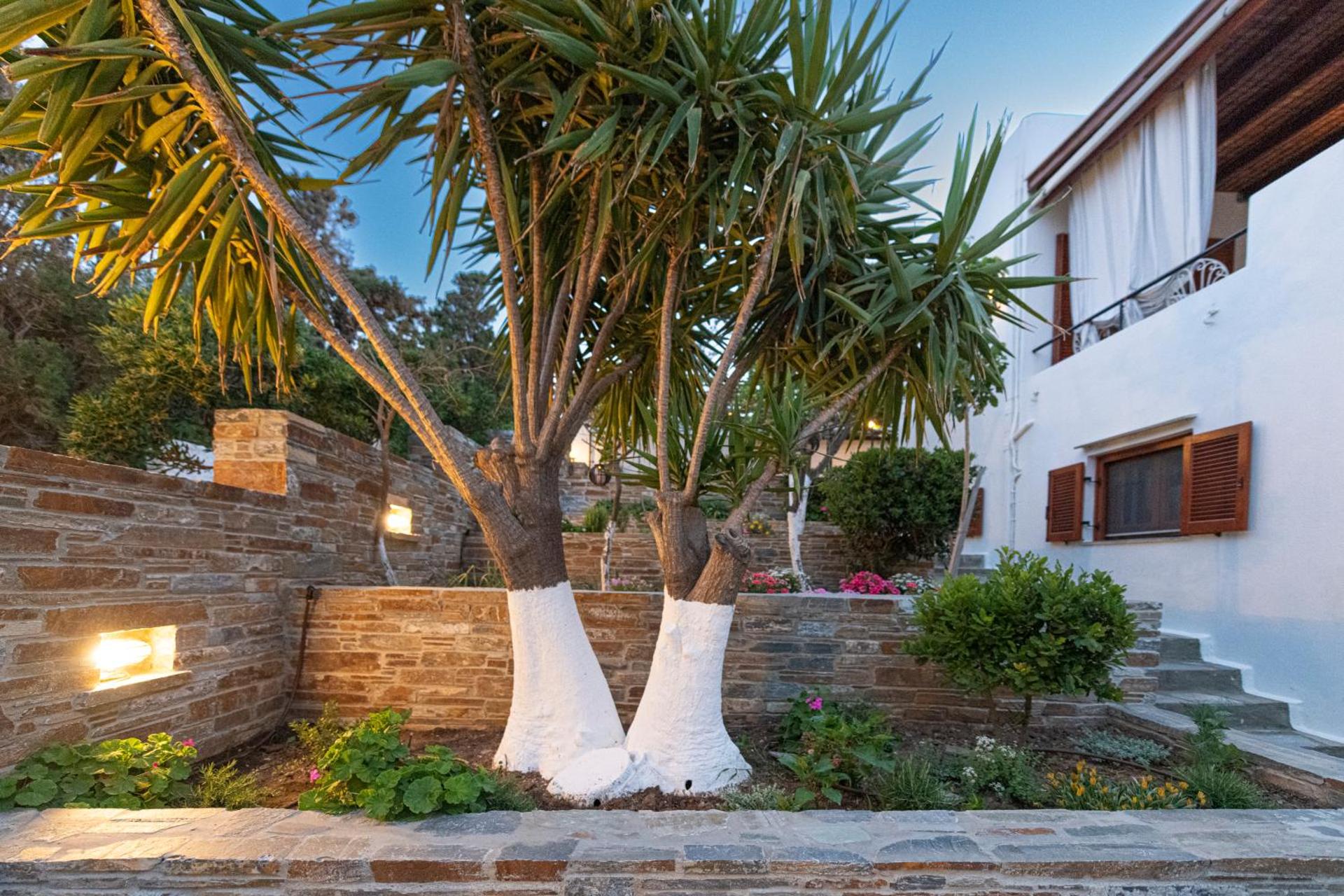 Anemoesa - Photo 106