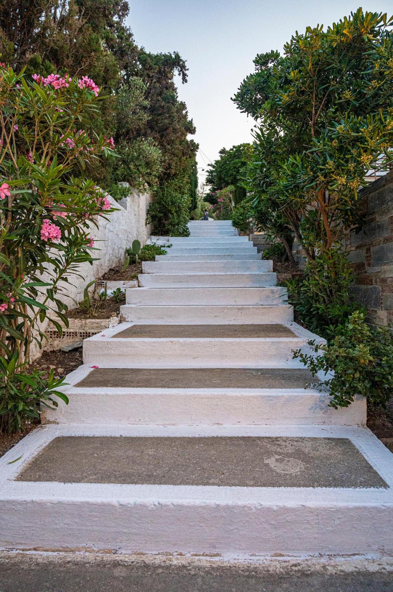 Anemoesa - Photo 120