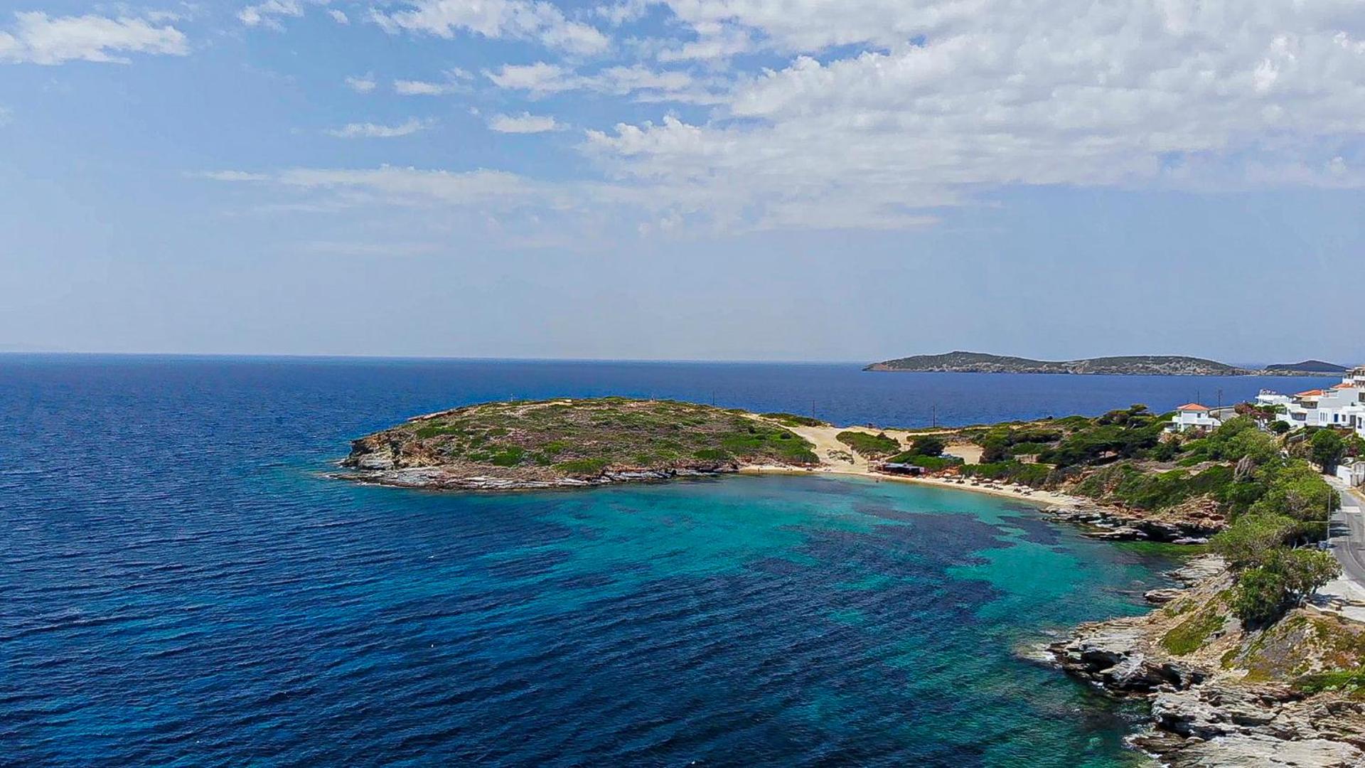 Anemoesa - Photo 142