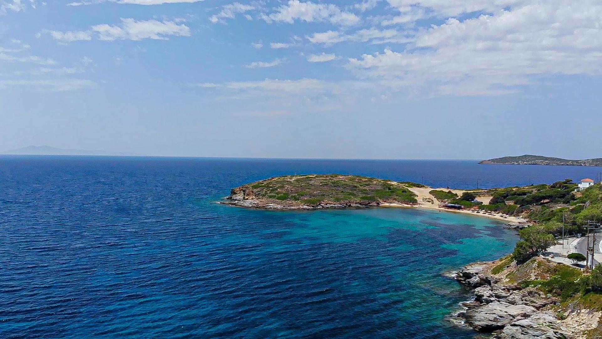 Anemoesa - Photo 137