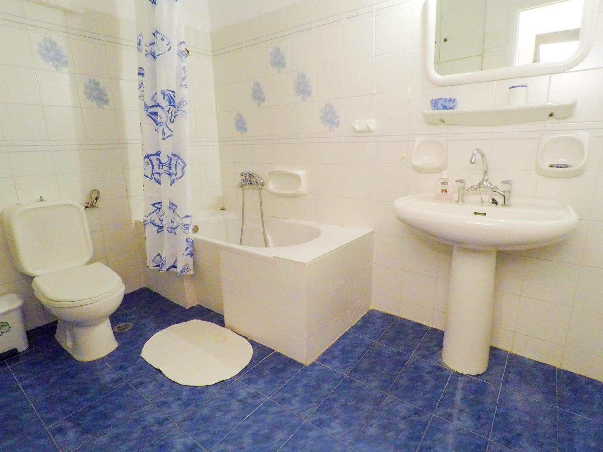 Anemoesa - Photo 101