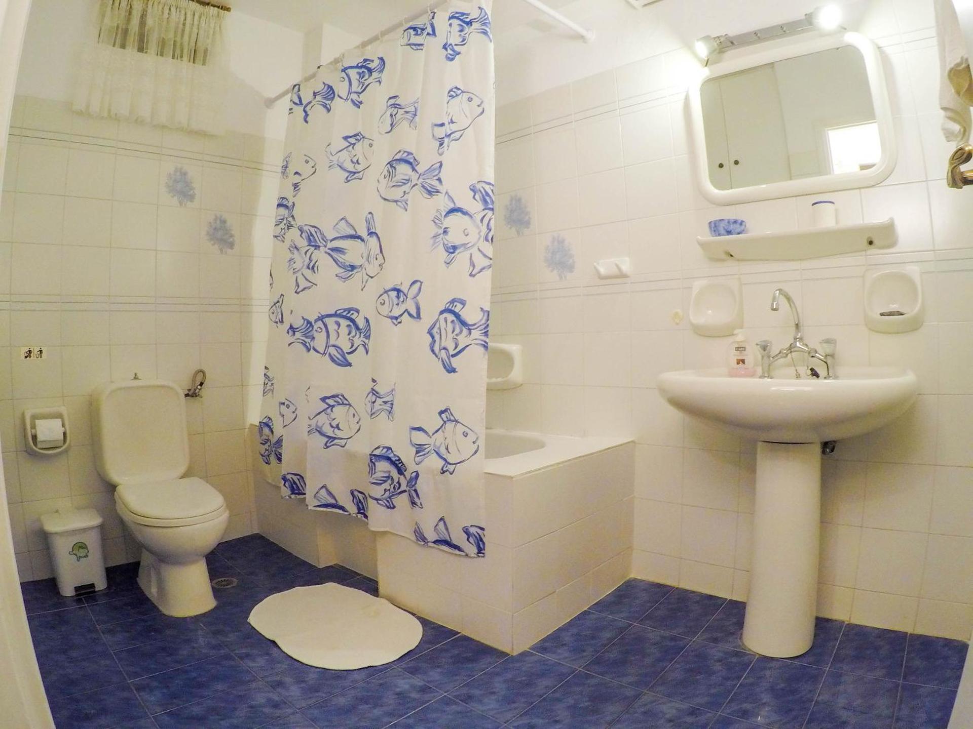 Anemoesa - Photo 100