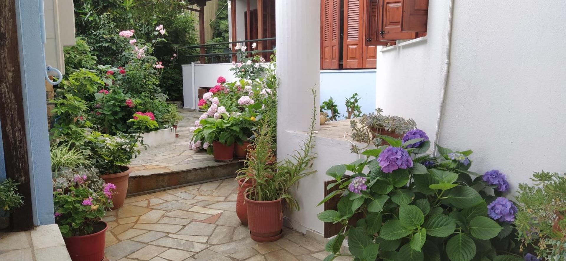 Anesis Hotel - Photo 45