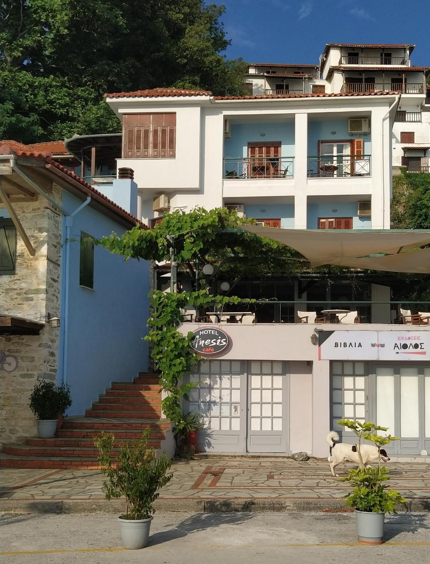 Anesis Hotel - Photo 39
