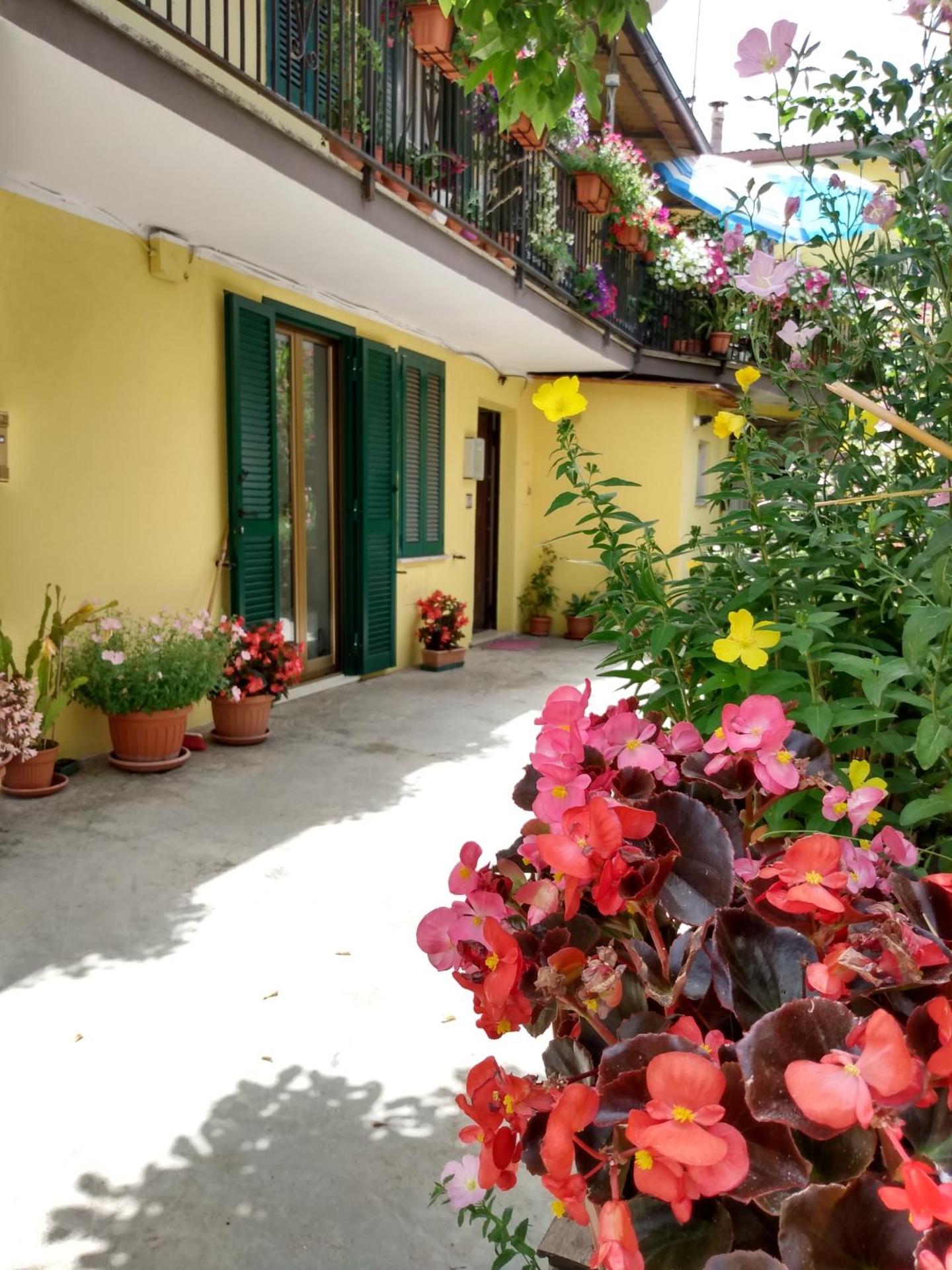 Giallo Sole - Photo 65