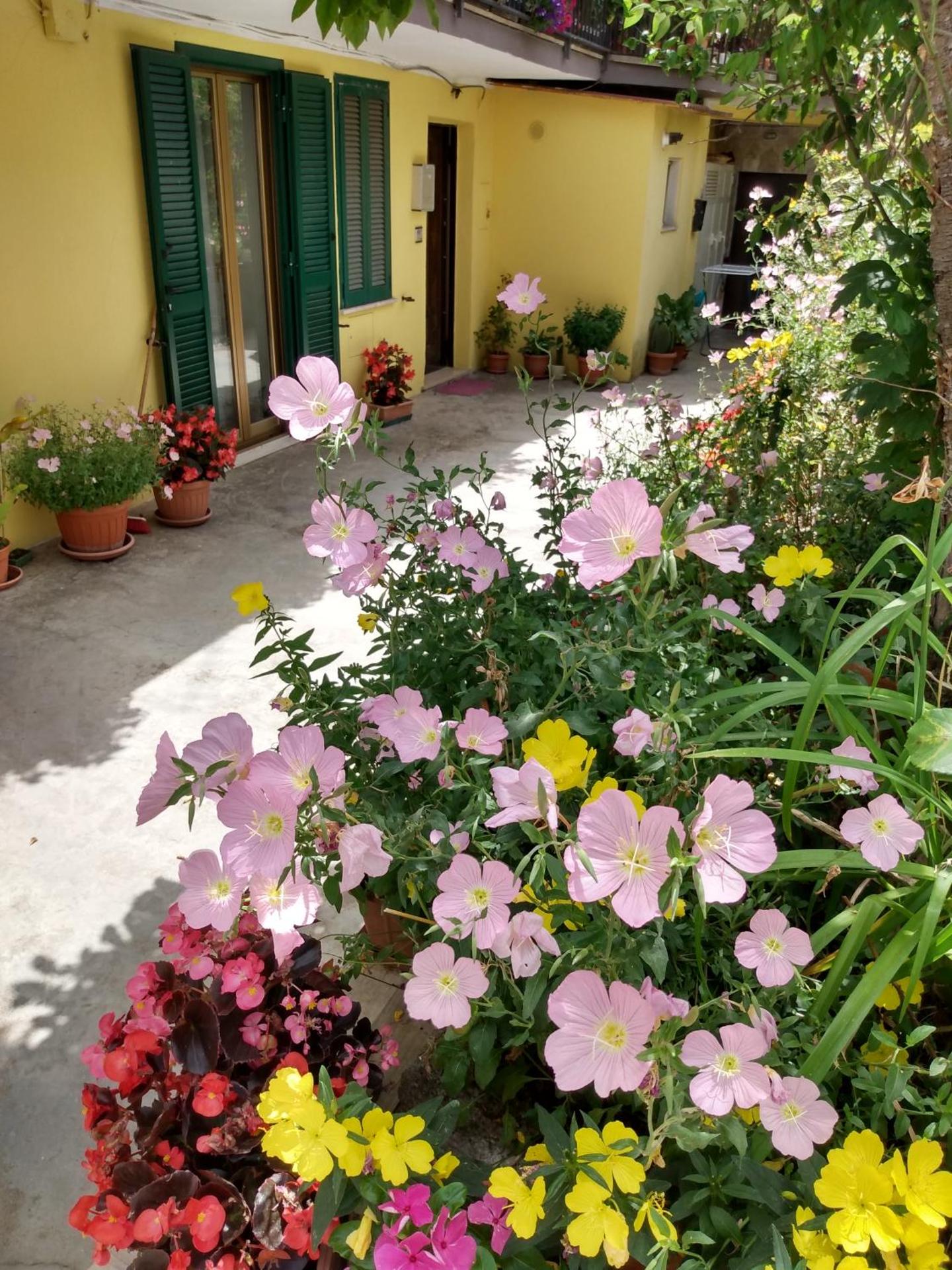 Giallo Sole - Photo 51