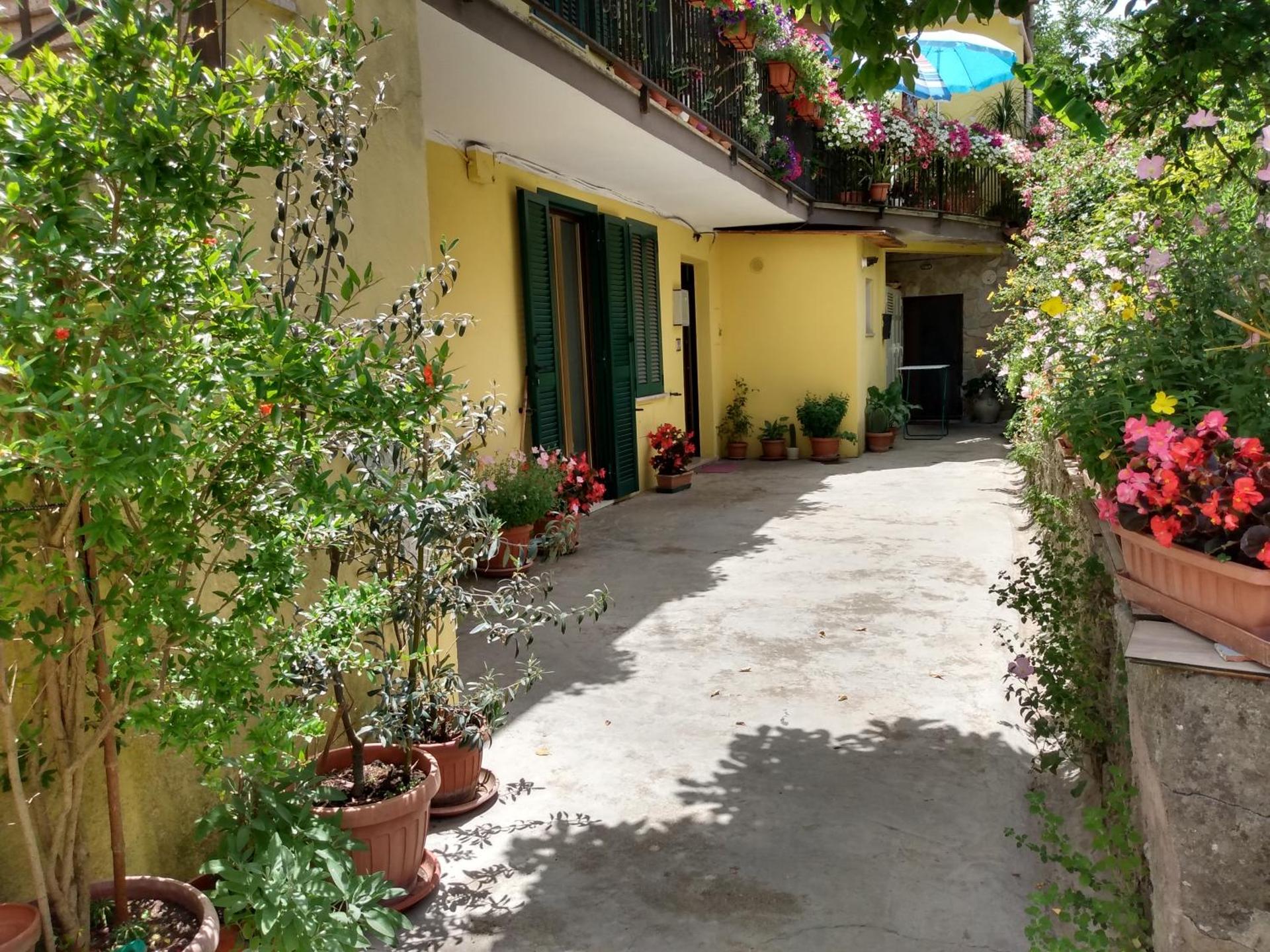 Giallo Sole - Photo 66