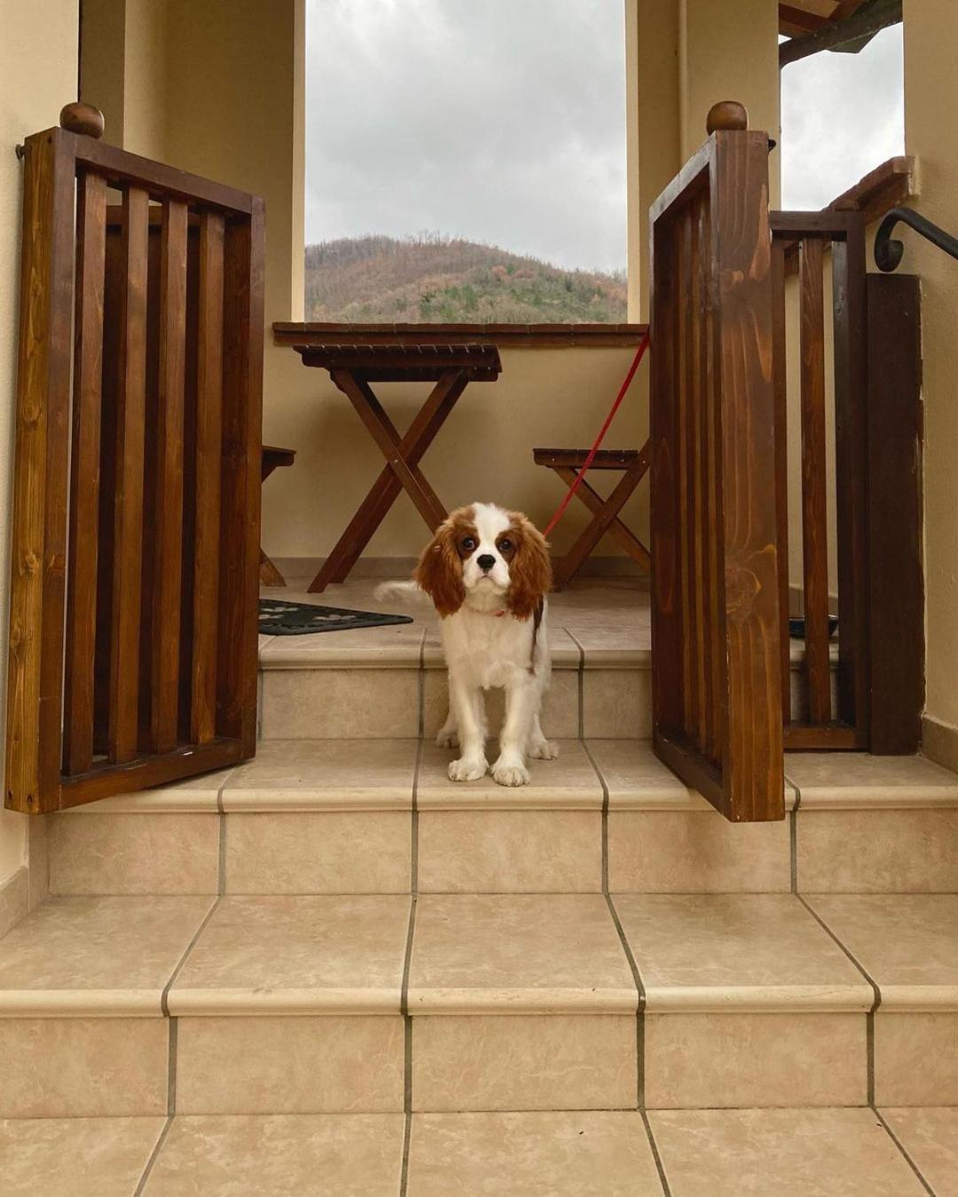 Domus Laetitiae Santa Croce - Photo 14