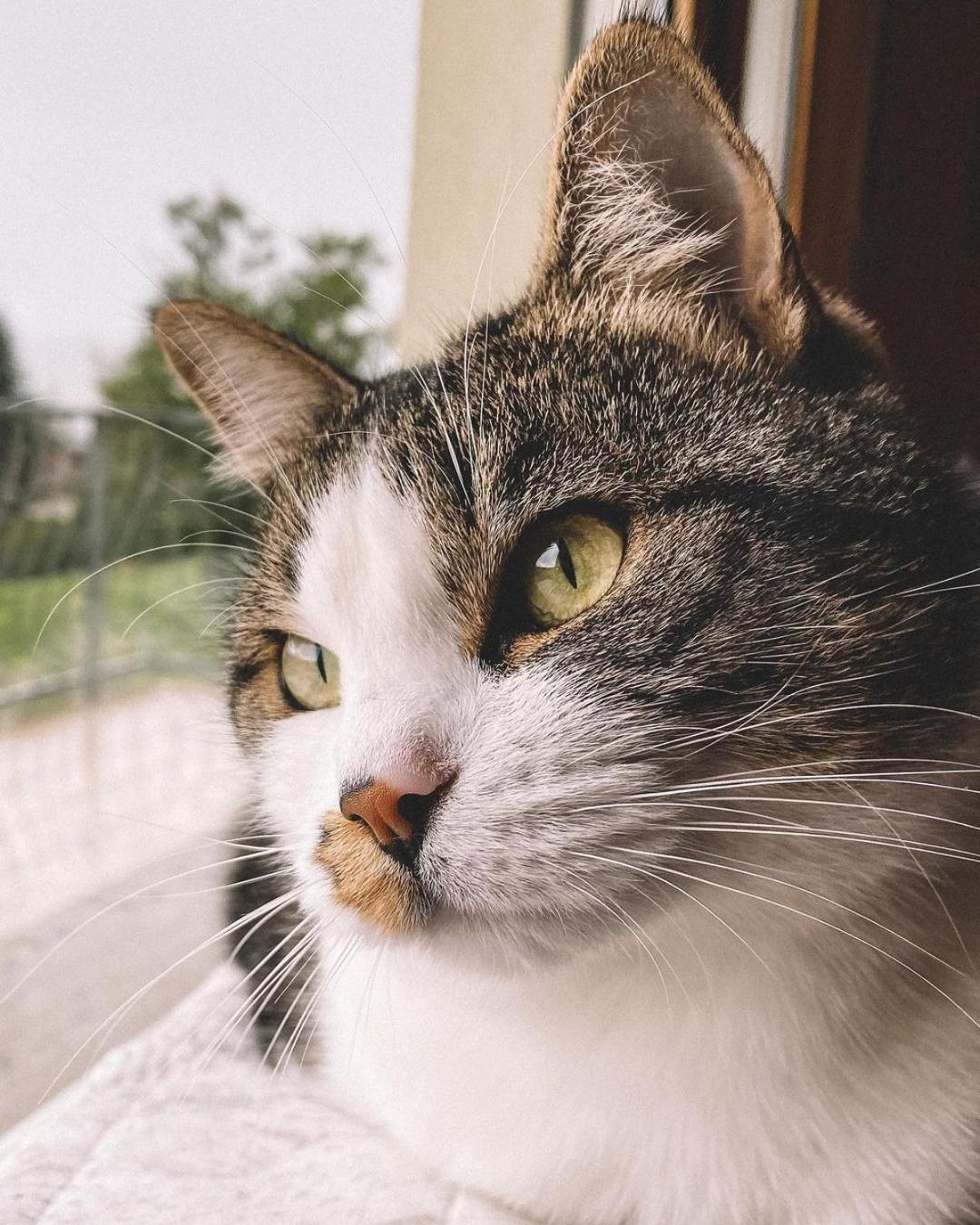 Domus Laetitiae Santa Croce - Photo 13