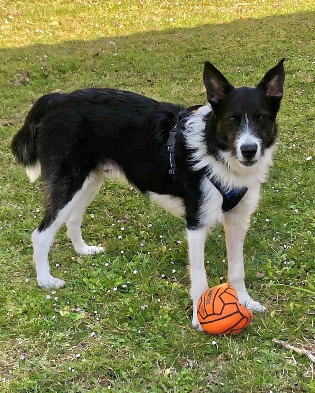 Domus Laetitiae Santa Croce - Photo 11