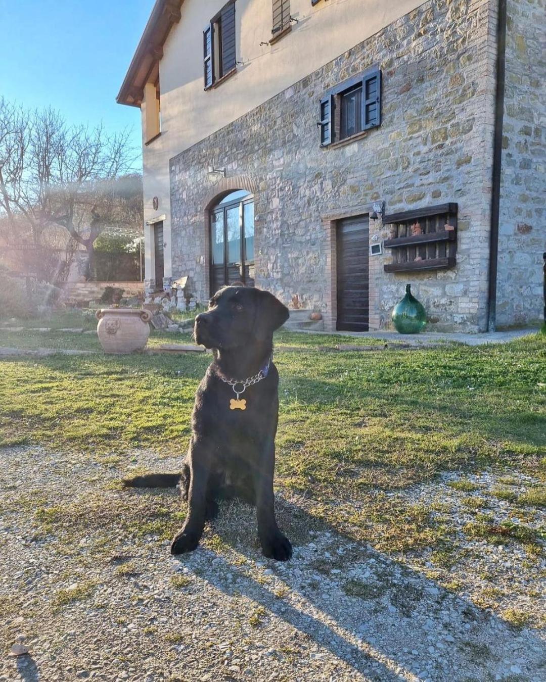 Domus Laetitiae Santa Croce - Photo 10