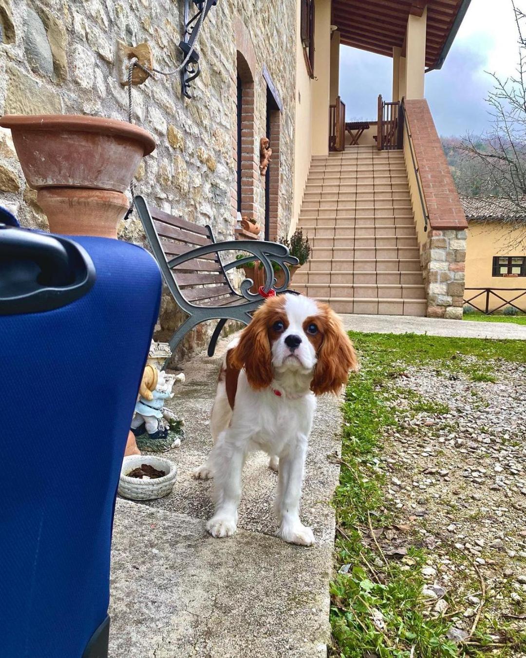 Domus Laetitiae Santa Croce - Photo 5