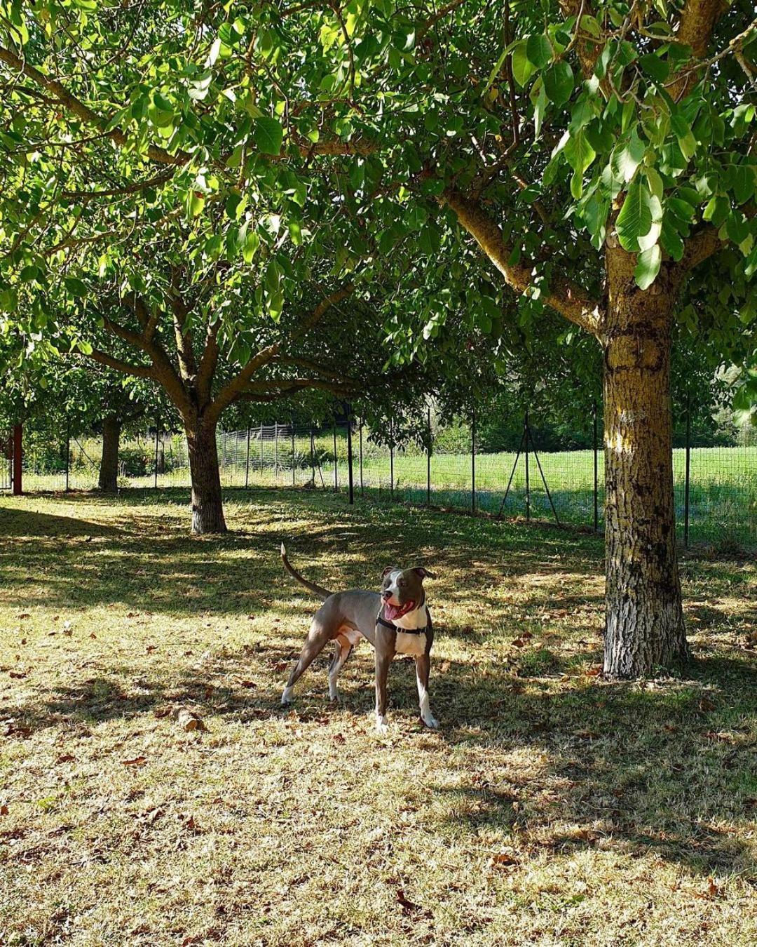 Domus Laetitiae Santa Croce - Photo 9