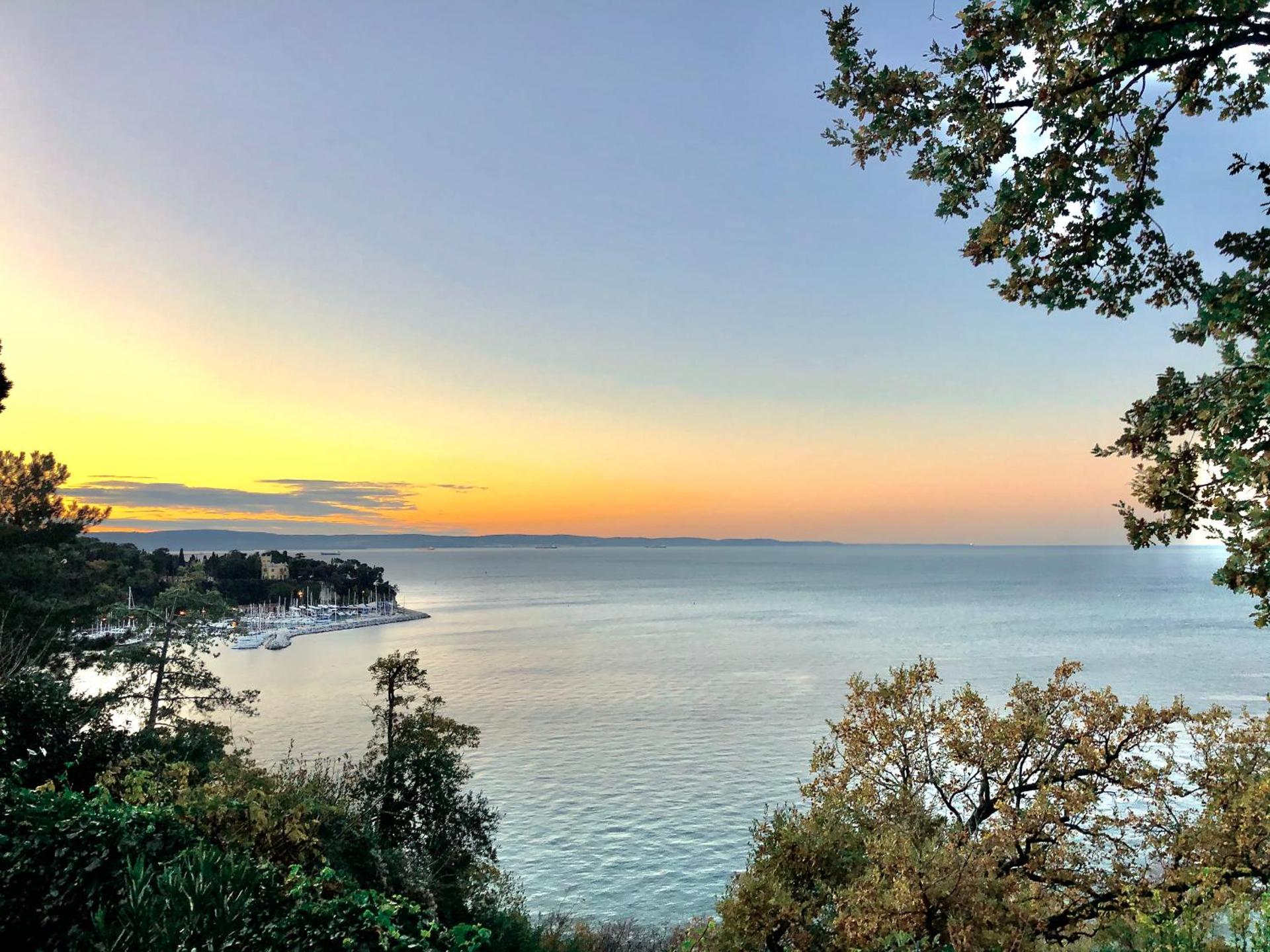 Hotel Riviera & Maximilian's - Photo 101