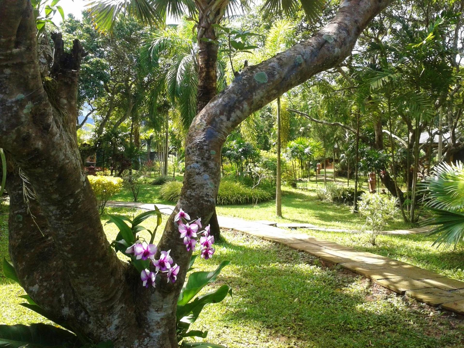 Huan Chiang Dao Resort - Photo 6
