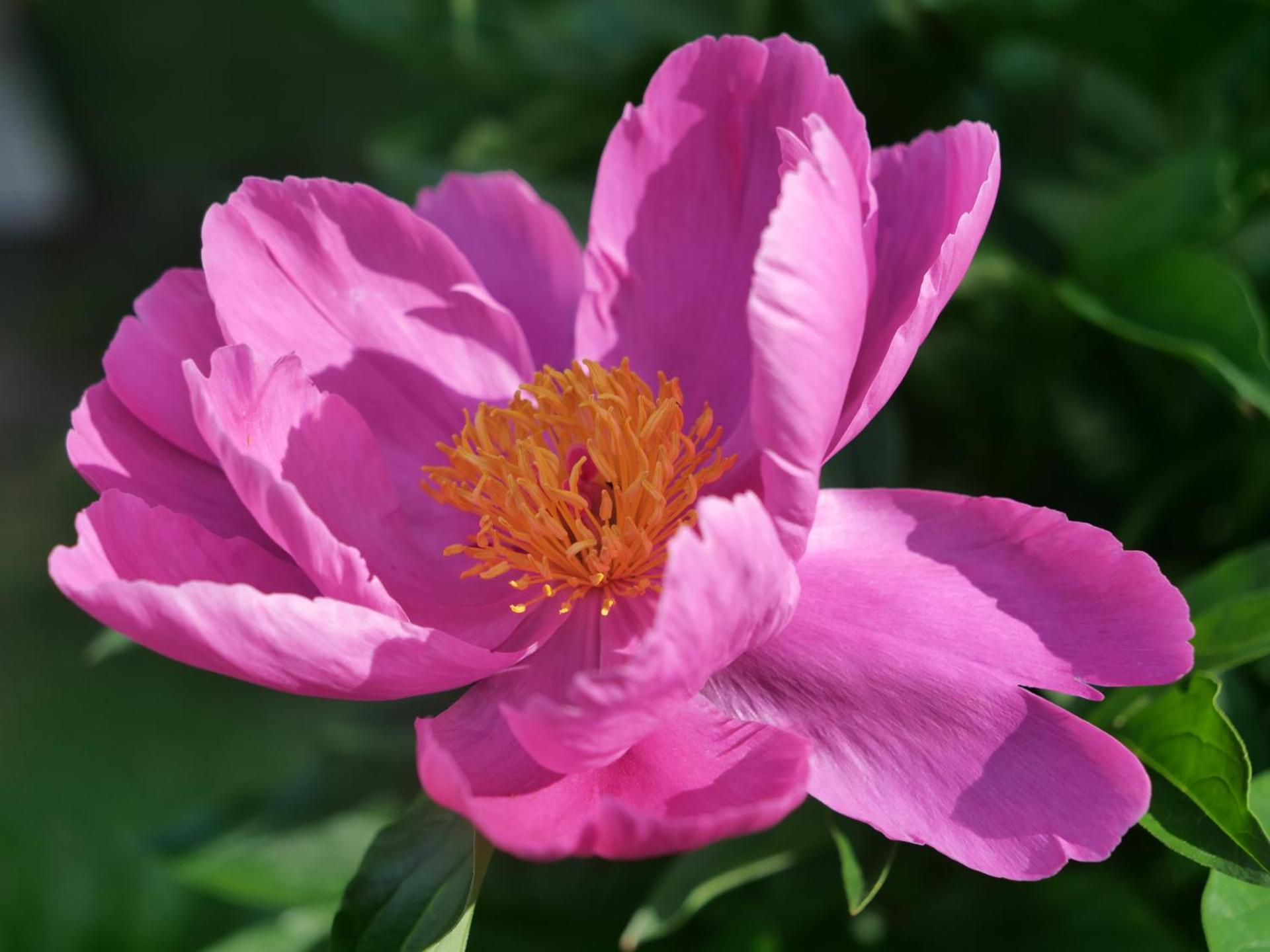 Hotel Cepina Albergo Incantato - Photo 17