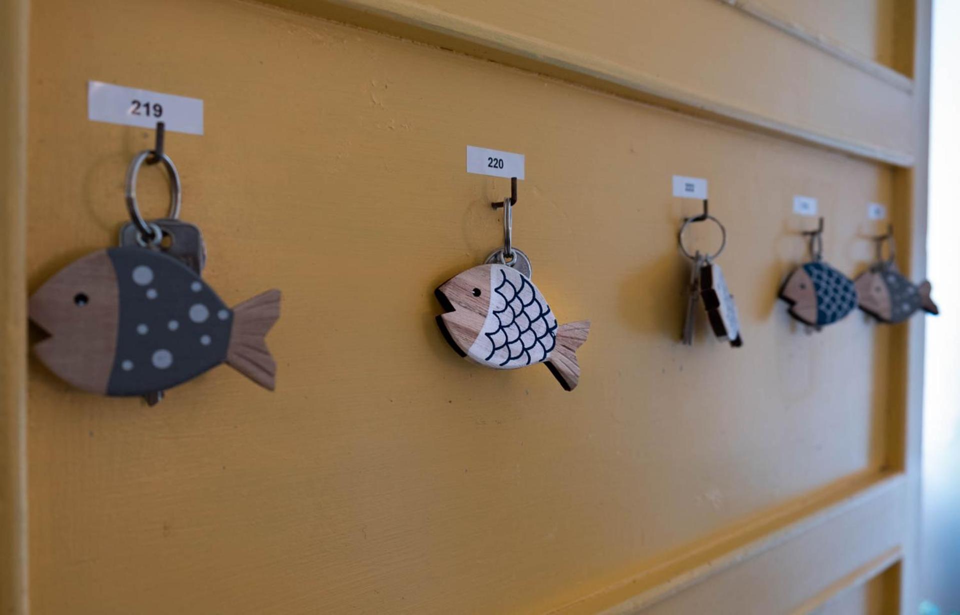 Villa Penelope - Photo 47