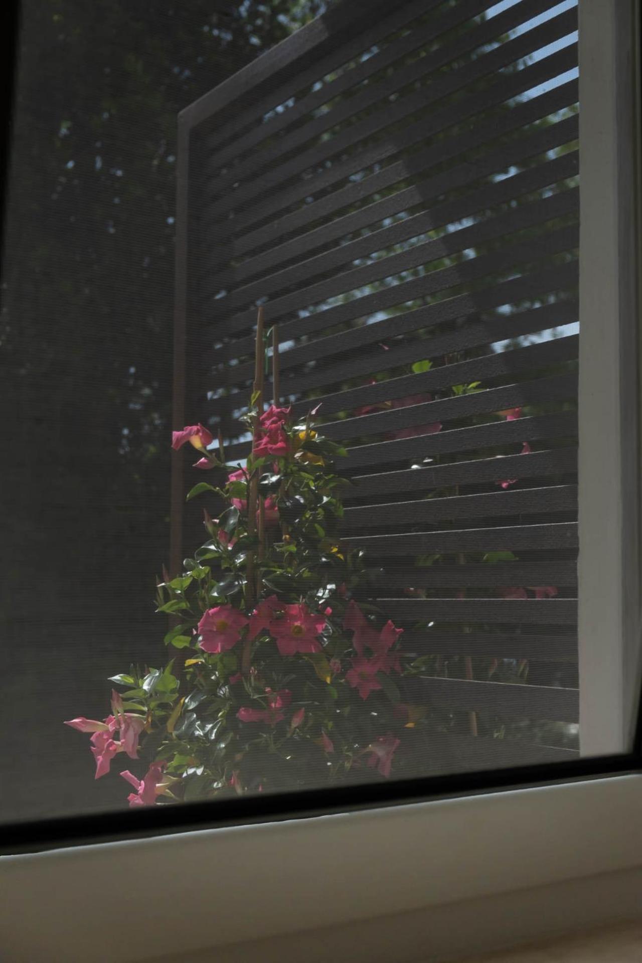 Villa Penelope - Photo 54