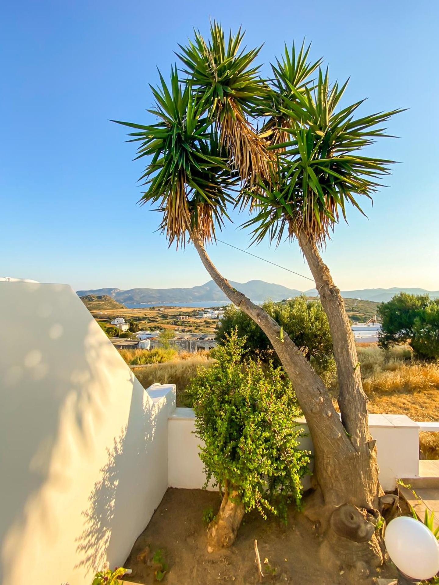 Geo Houses Milos - Photo 76