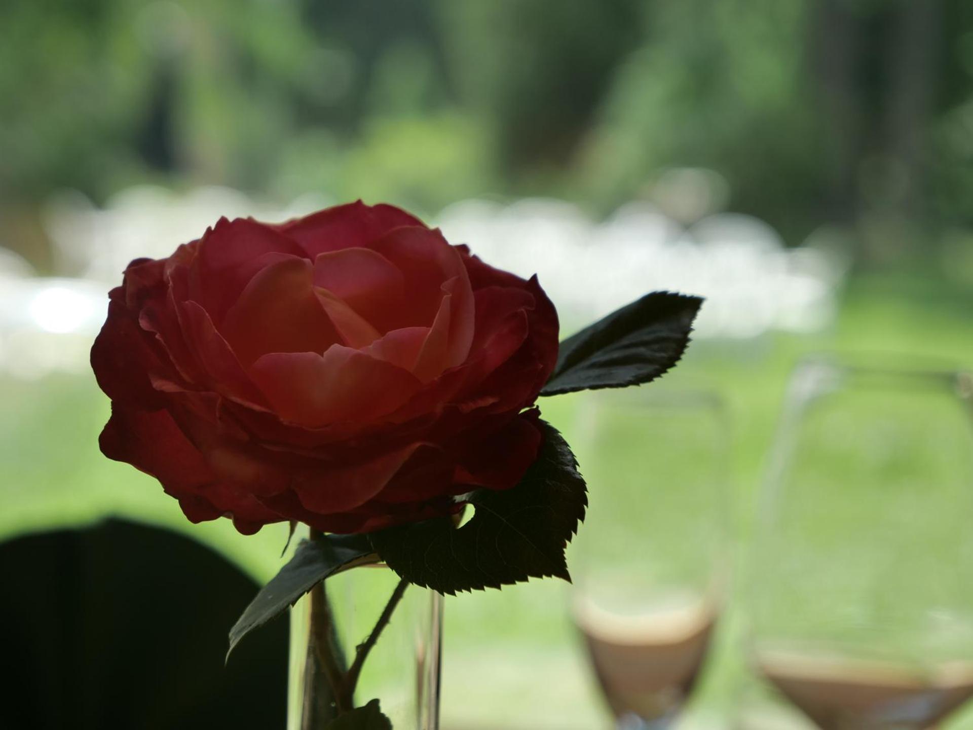 Hotel Cepina Albergo Incantato - Photo 10