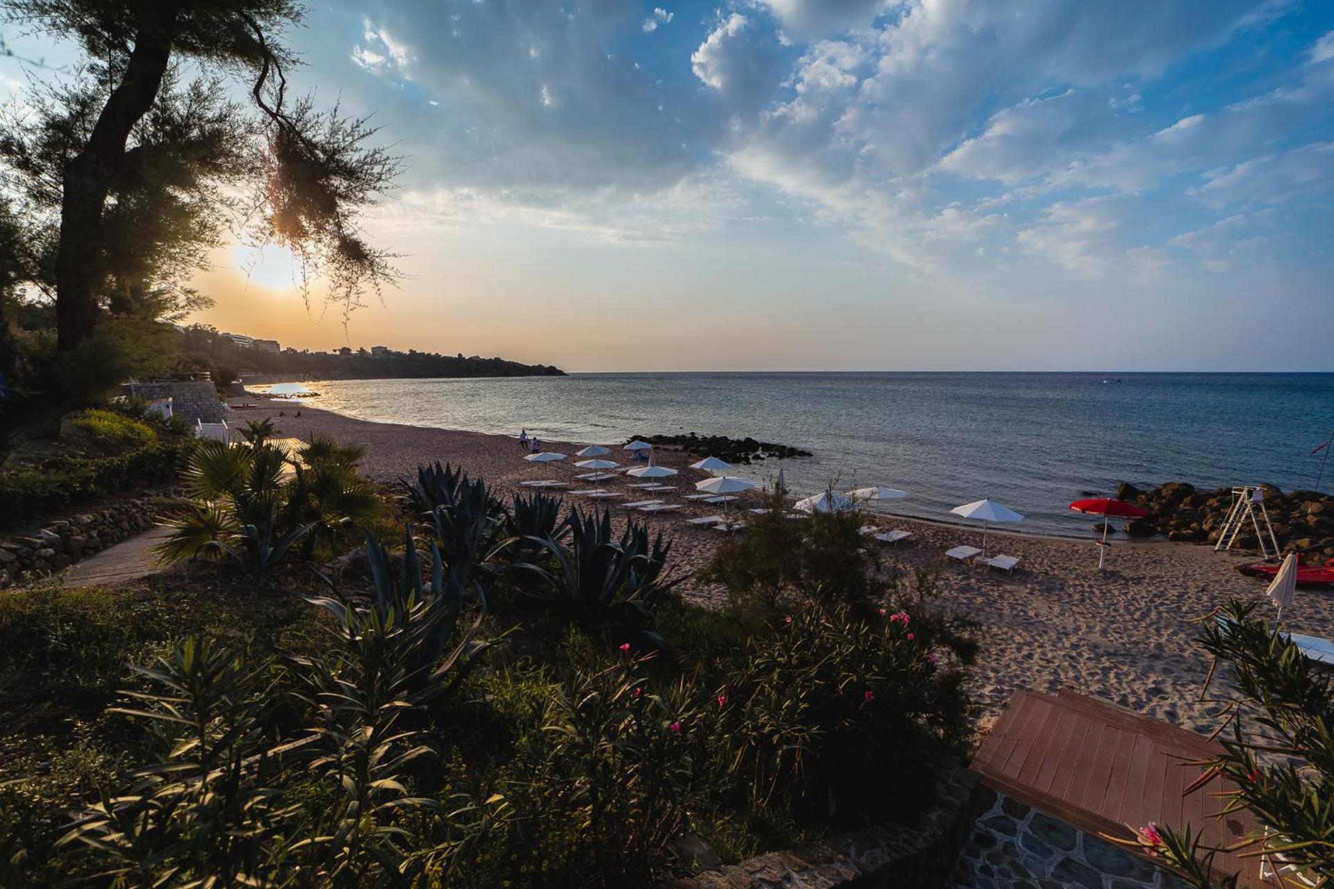 Alberi del Paradiso - Photo 187