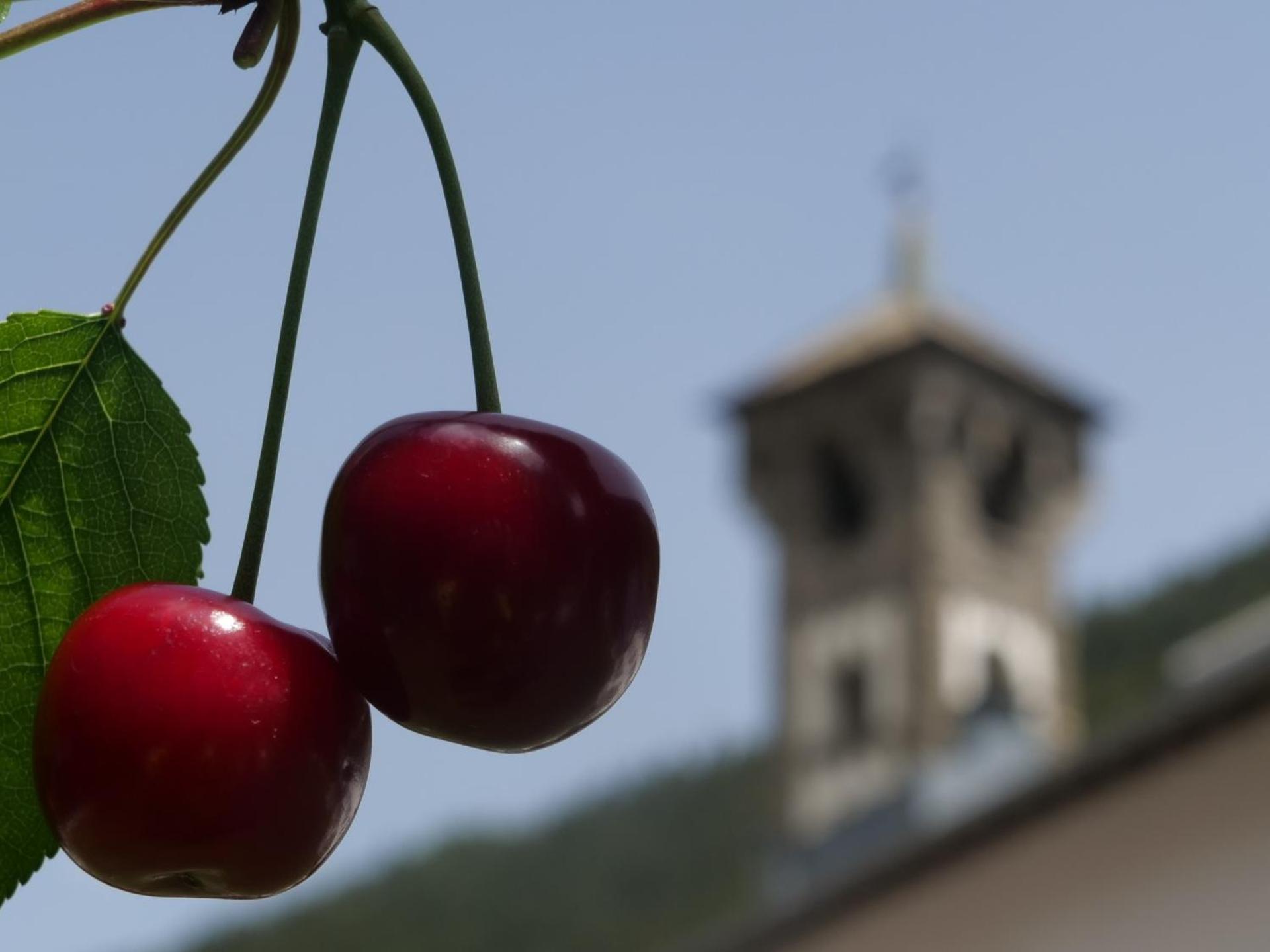 Hotel Cepina Albergo Incantato - Photo 8