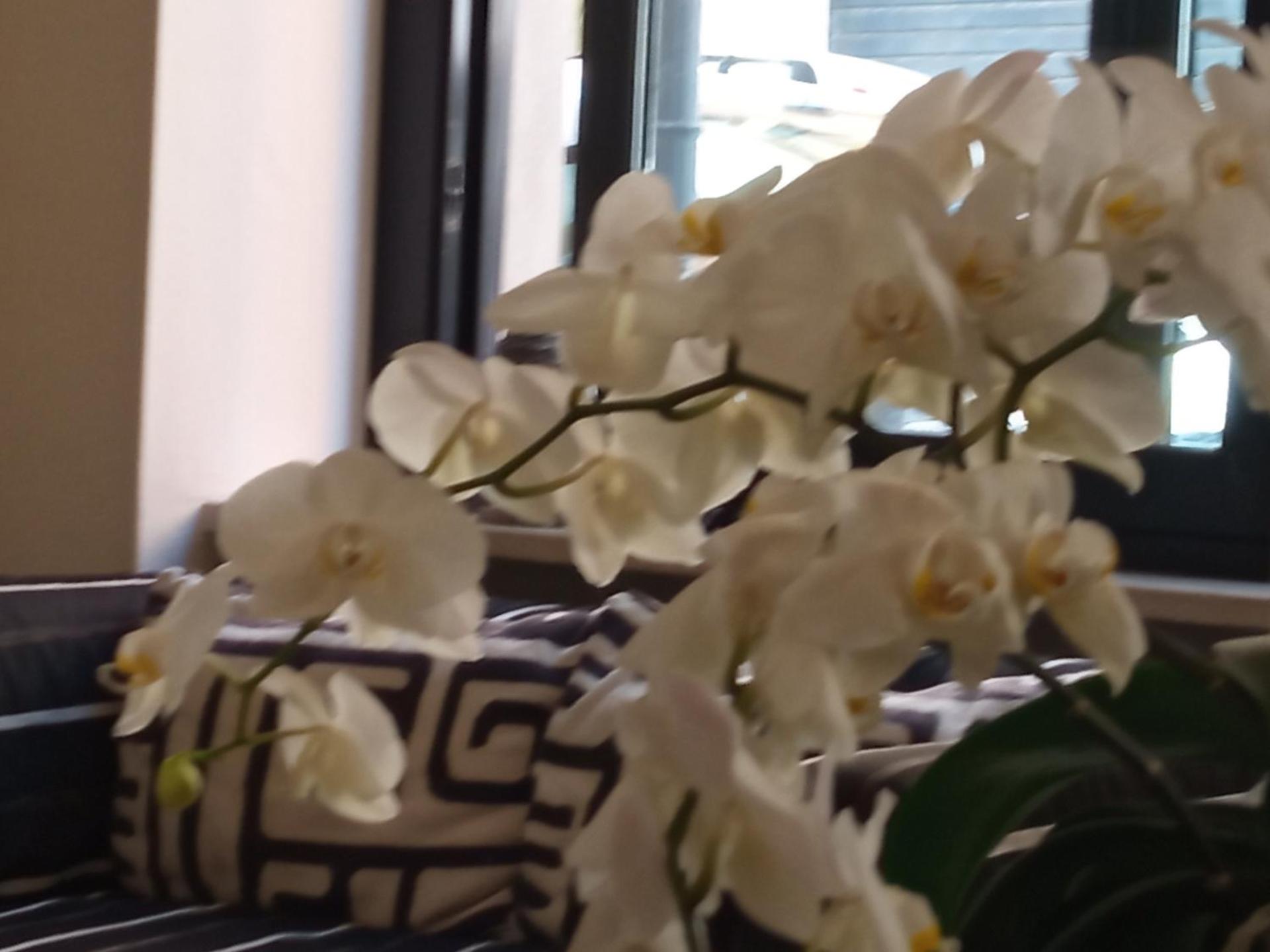 Hotel Touring - Photo 43