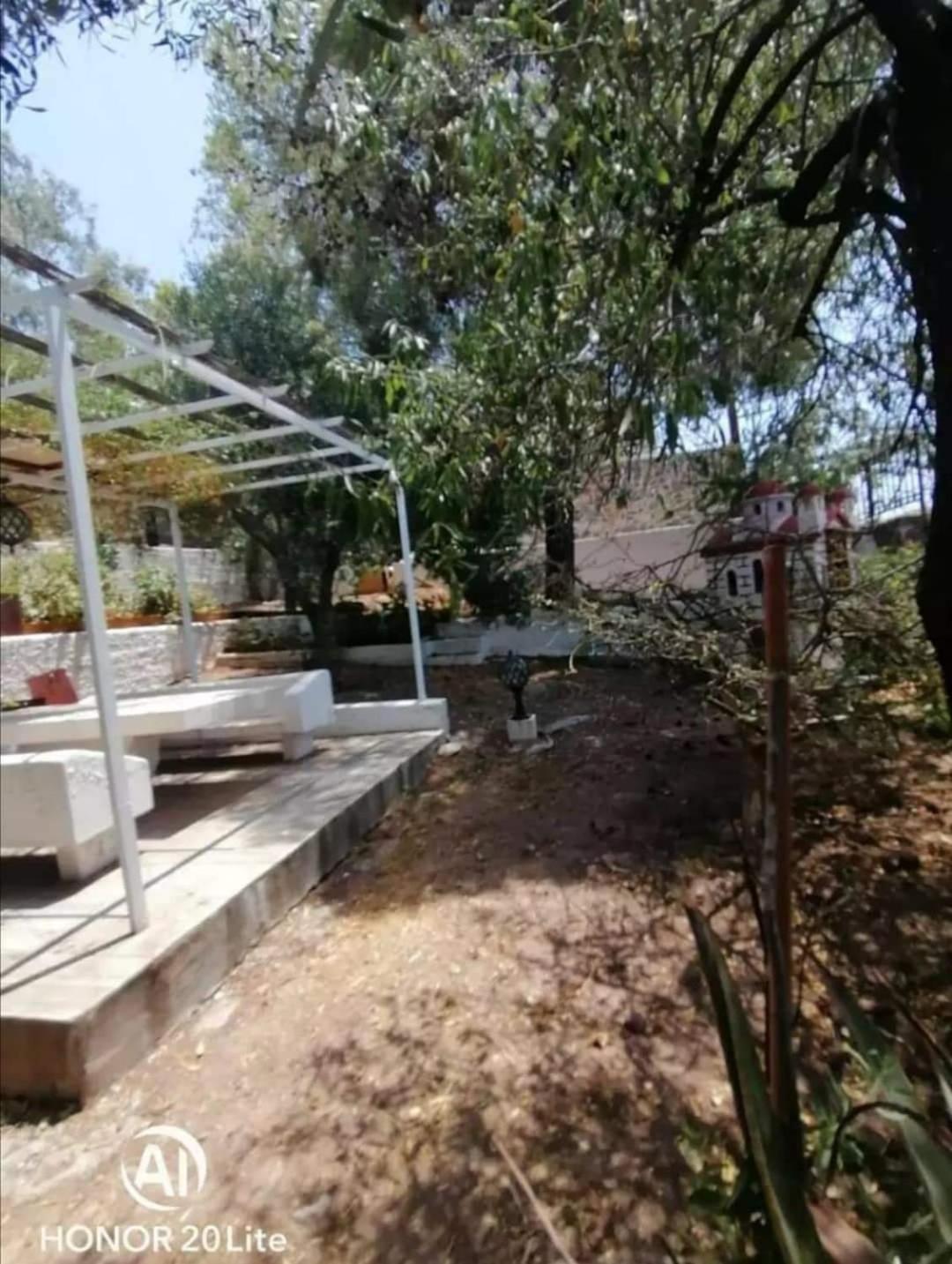 Αίγινα εξοχική κατοικία - Photo 10