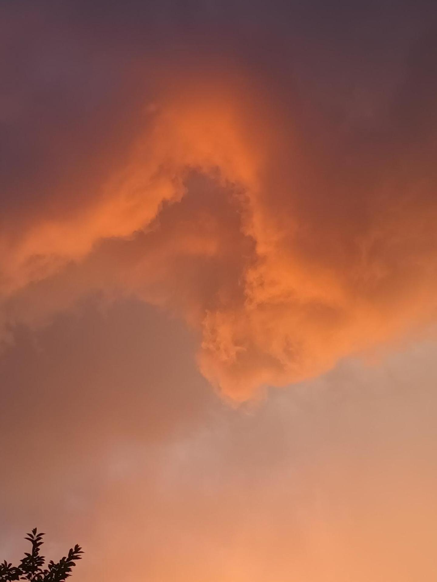 Hotel Cepina Albergo Incantato - Photo 4