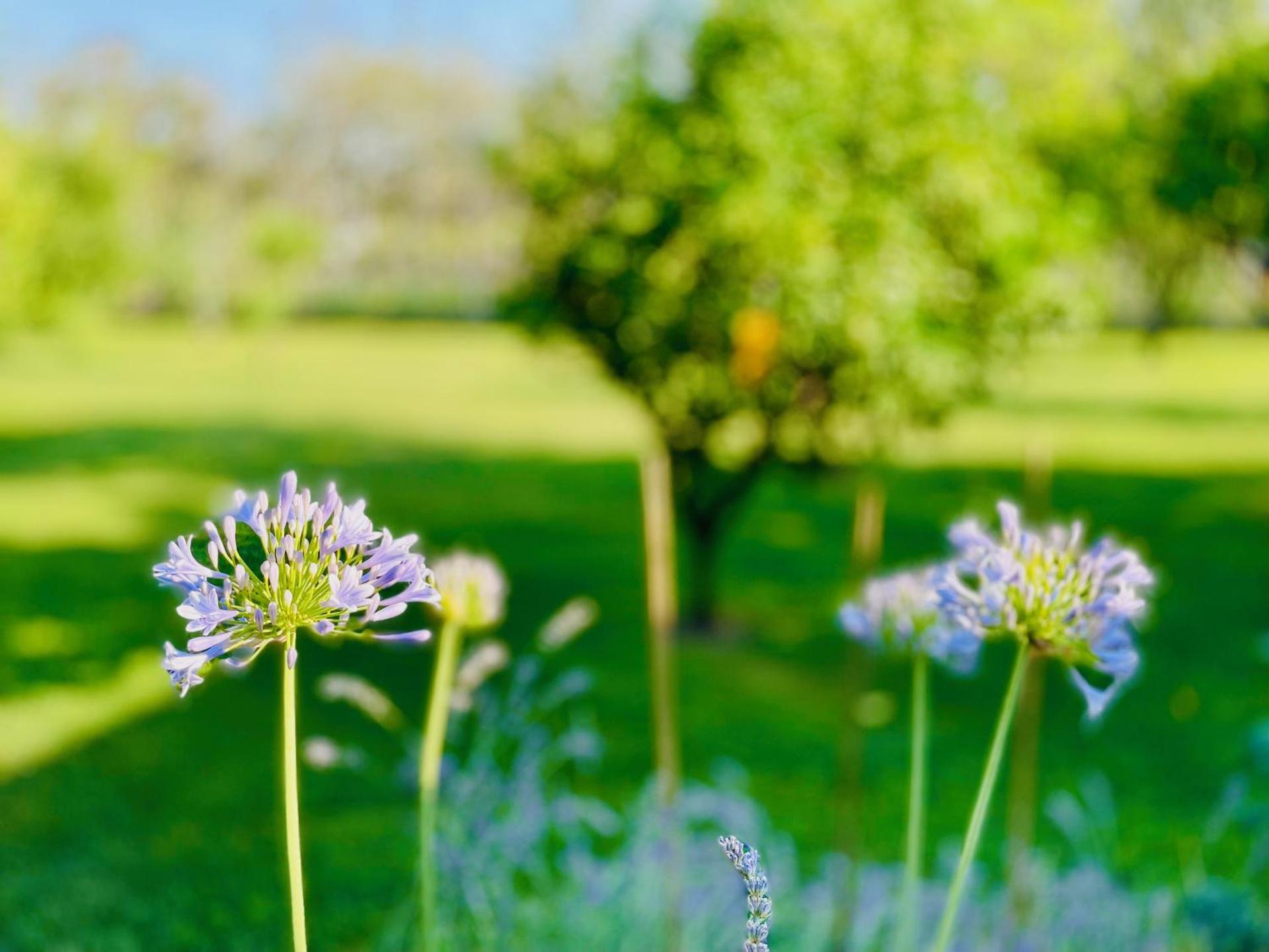 Villa Irene Pisticci-Matera - Photo 95