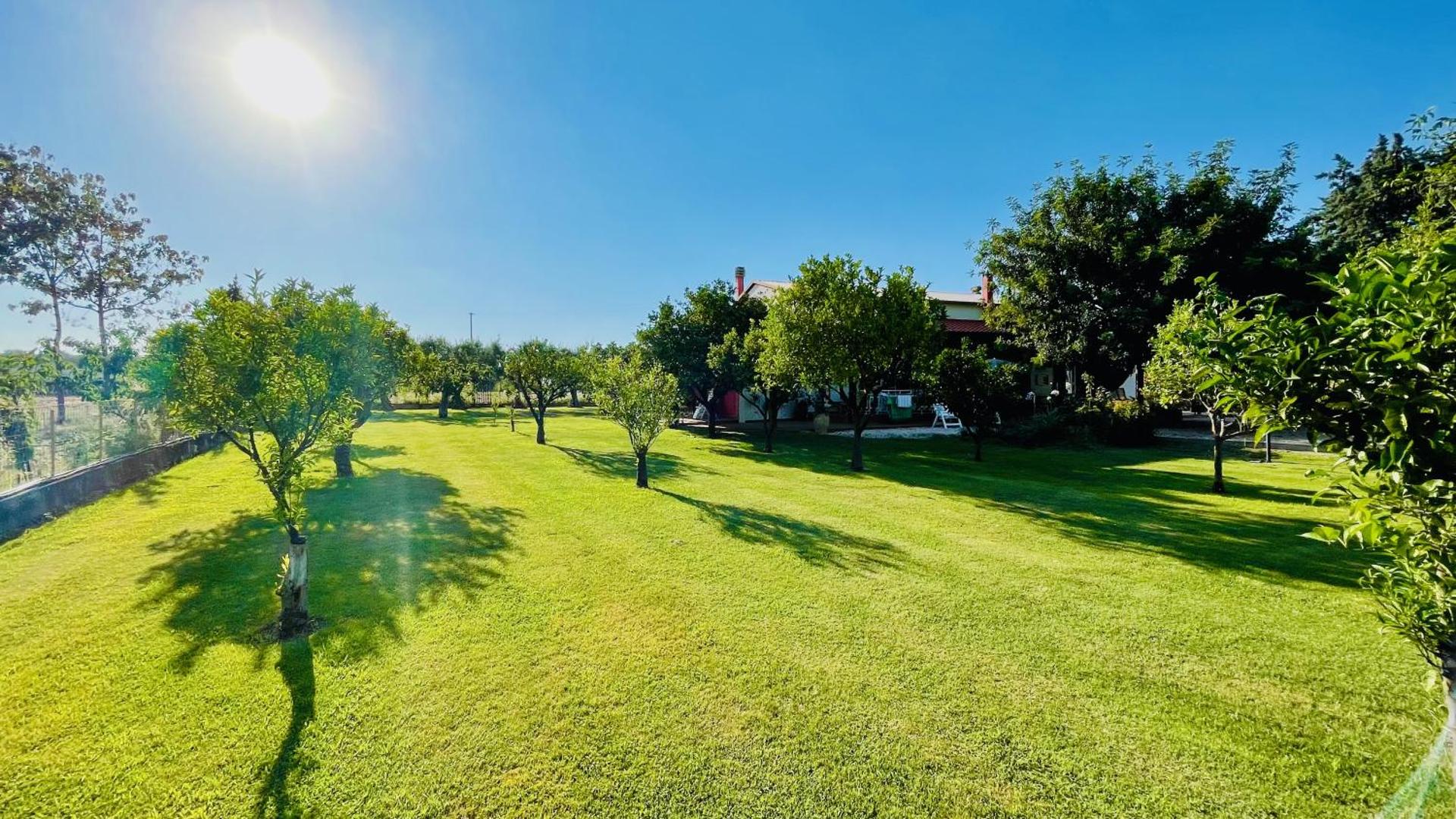 Villa Irene Pisticci-Matera - Photo 90