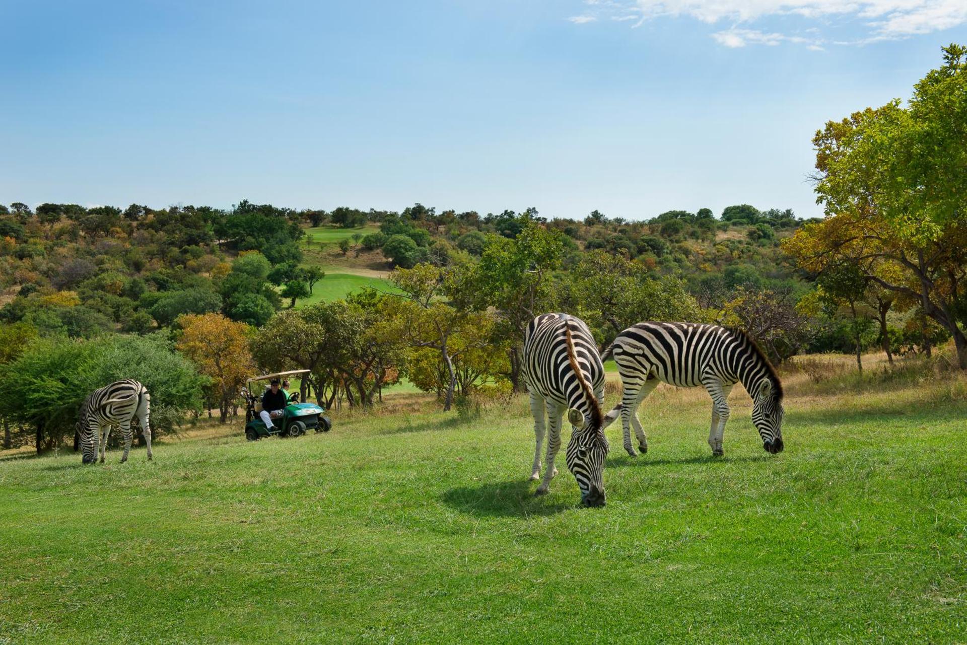 Seasons Golf, Leisure, Spa - Photo 109